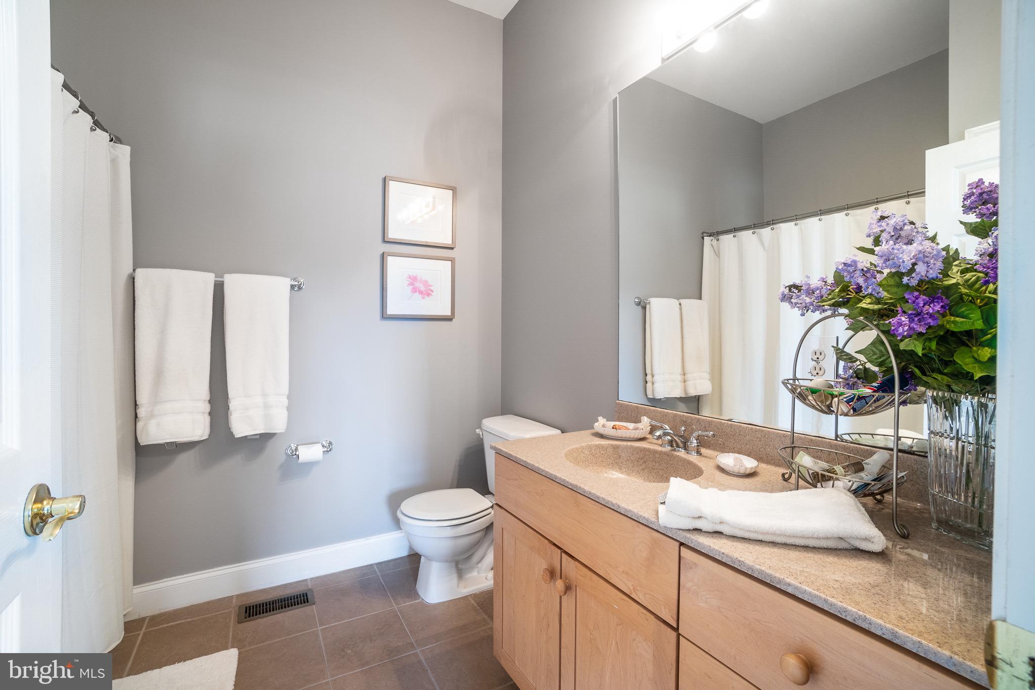 331 Brownbacks Church Road Spring City, PA 19475 - Photo 19 of 53 In-Law Suite full bathroom