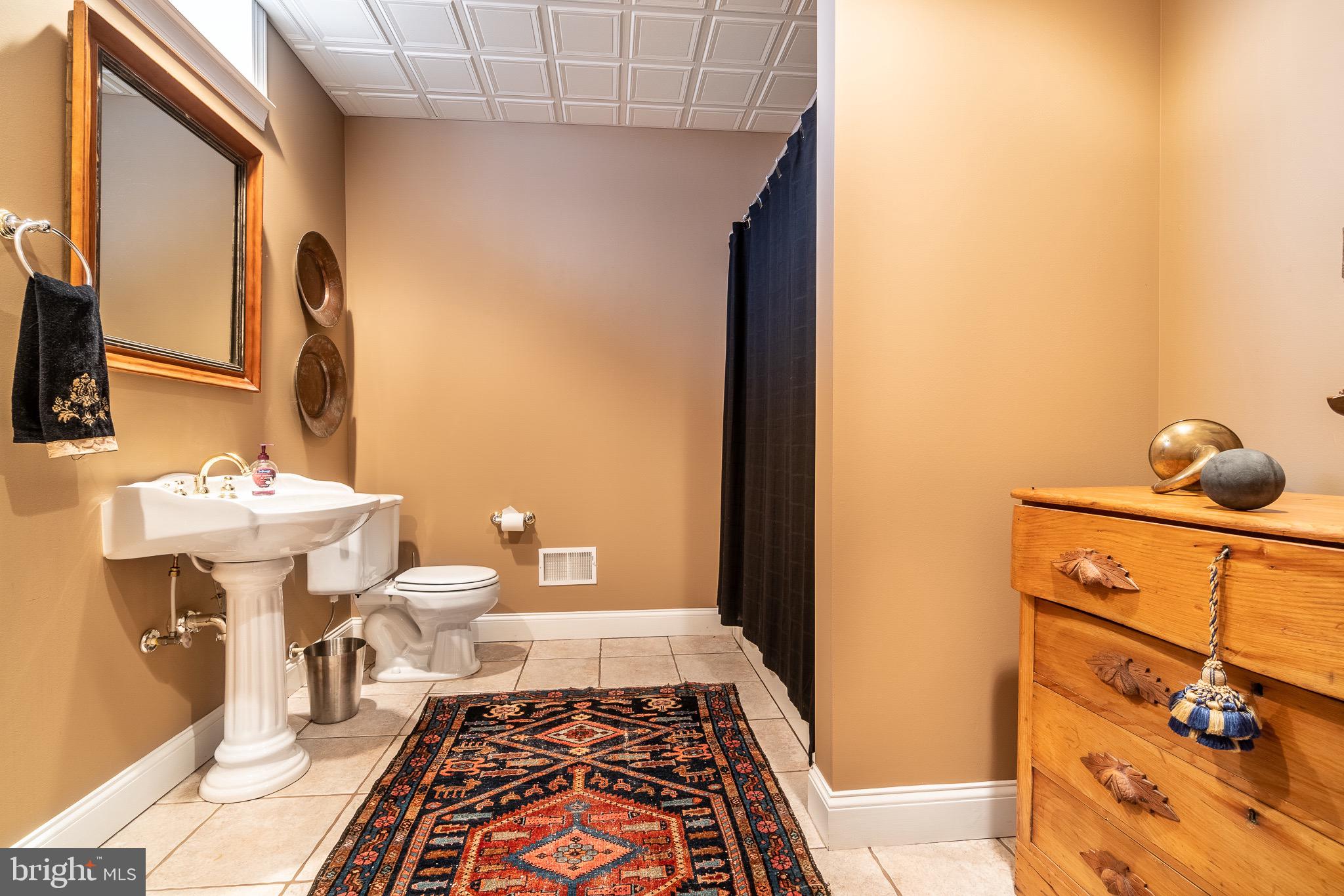 331 Brownbacks Church Road Spring City, PA 19475 - Photo 41 of 53 Basement-full bathroom