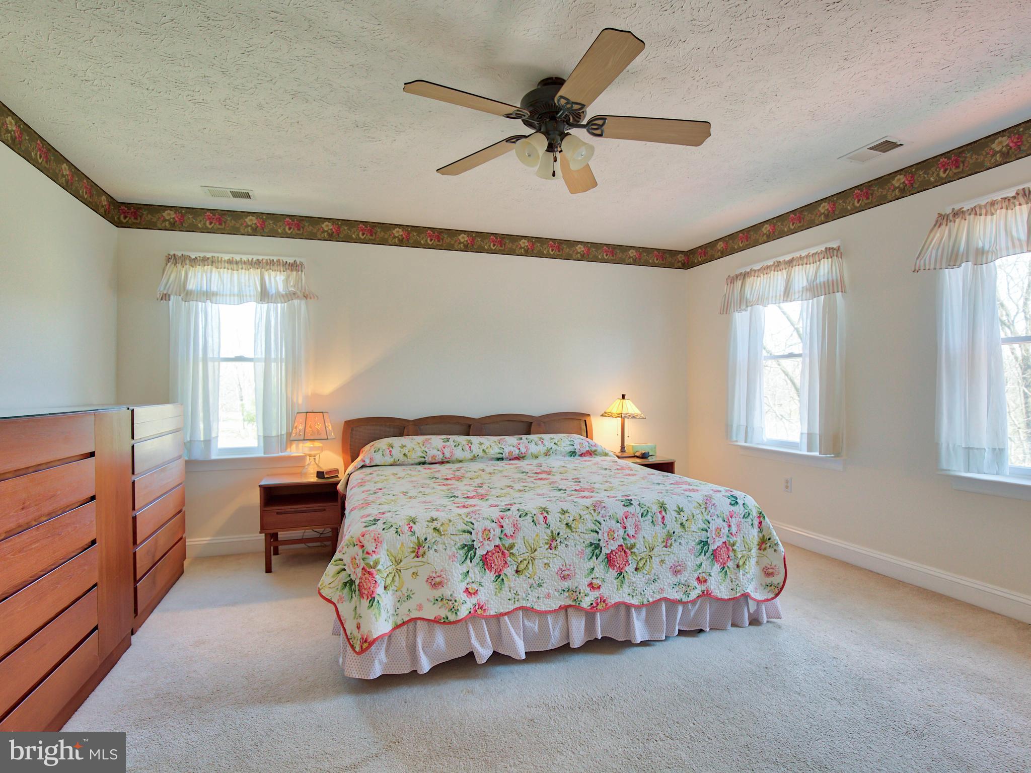 2770 Kimble Road Berryville, VA 22611 - Photo 29 of 54 MASTER BEDROOM