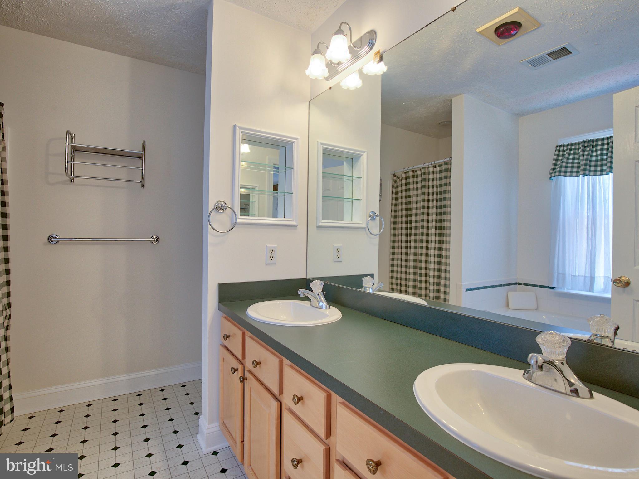 2770 Kimble Road Berryville, VA 22611 - Photo 34 of 54 MASTER BATHROOM