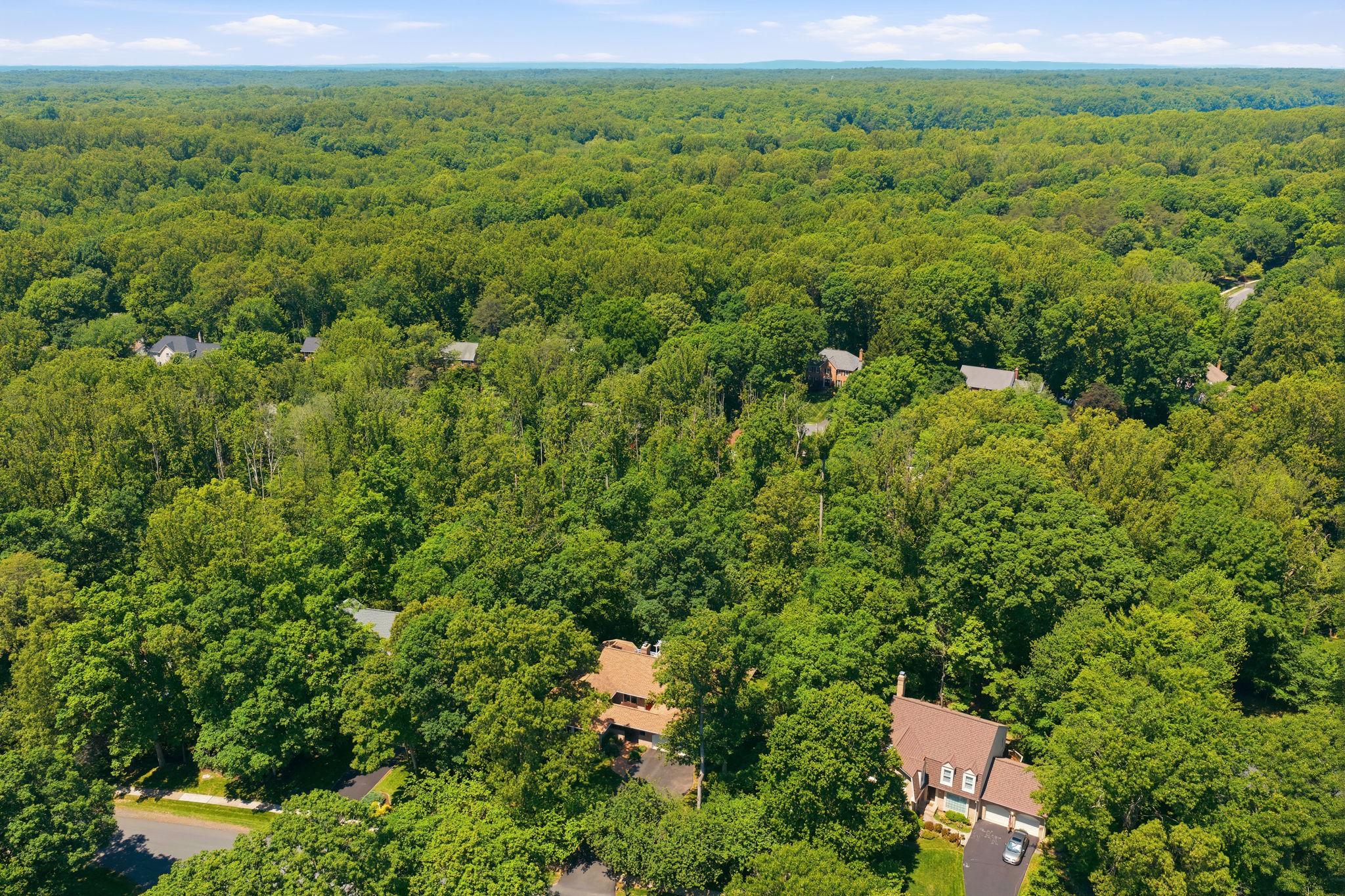 7512 Rambling Ridge Drive Fairfax Station, VA 22039 - Photo 57 of 64 Aerial View of Home