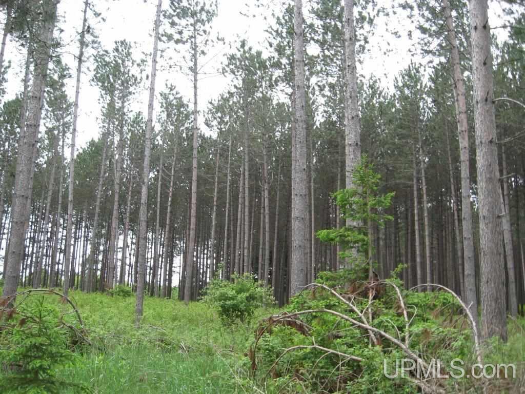 Tbd Co Rd H26 Rock, MI 49880 - Photo 17 of 17