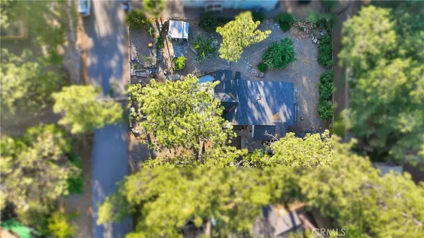 a view of a area with lots of trees