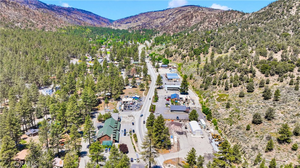 1056 Eagle Road Wrightwood, CA 92397 - Photo 51 of 53