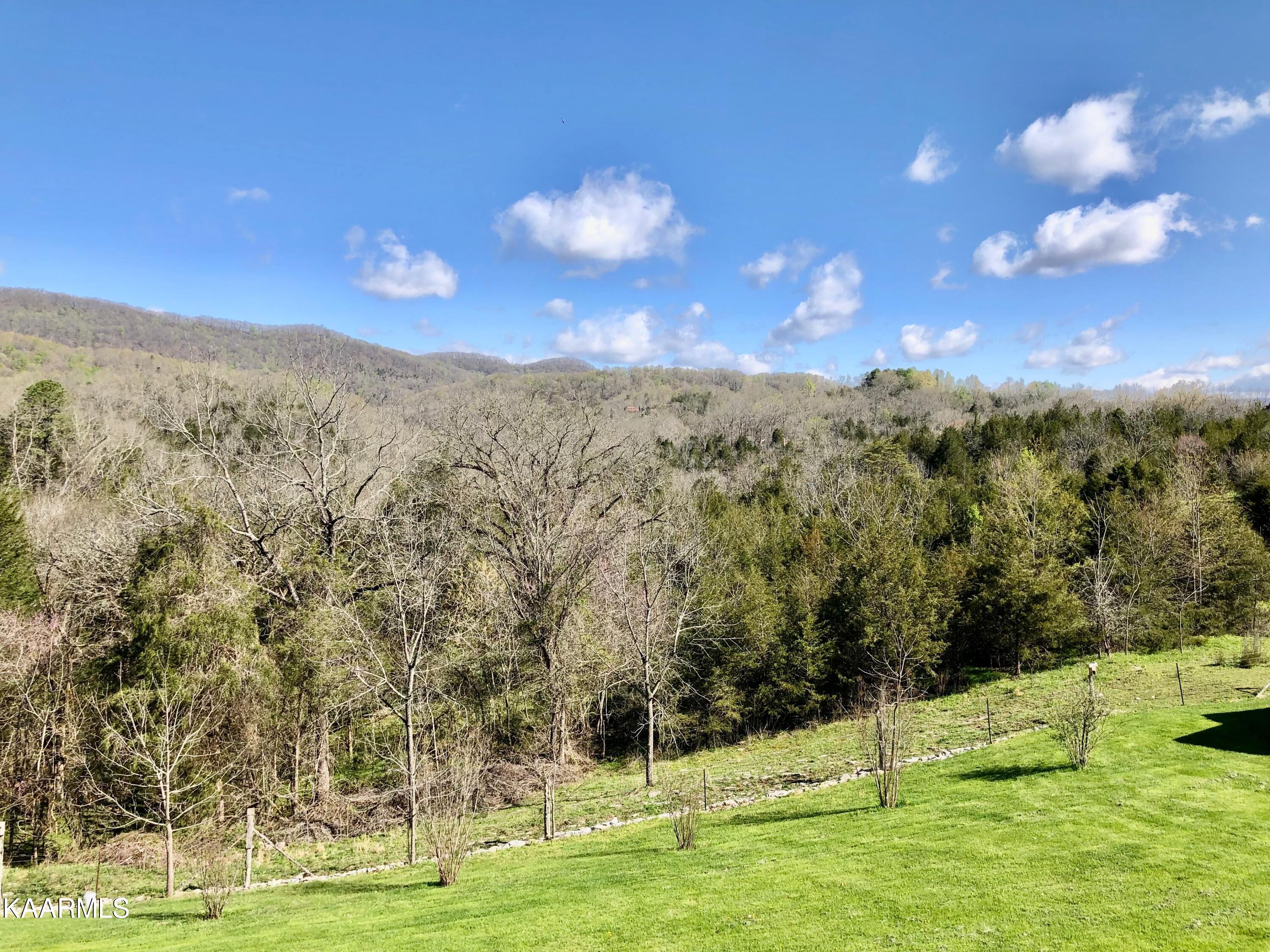 208 Bug Hole Road Cumberland Gap, TN 37724 - Photo 54 of 60 61