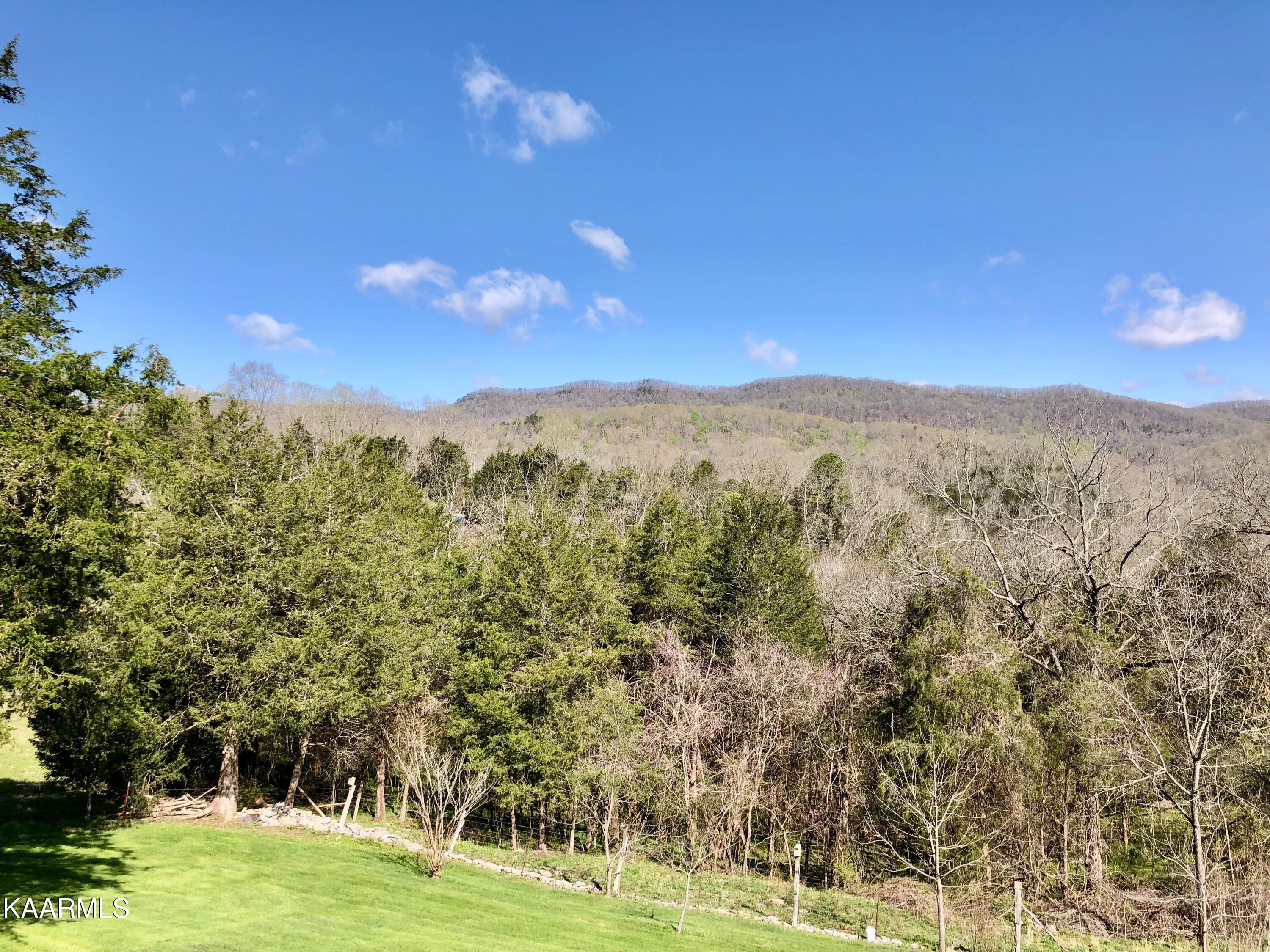 208 Bug Hole Road Cumberland Gap, TN 37724 - Photo 56 of 60 63