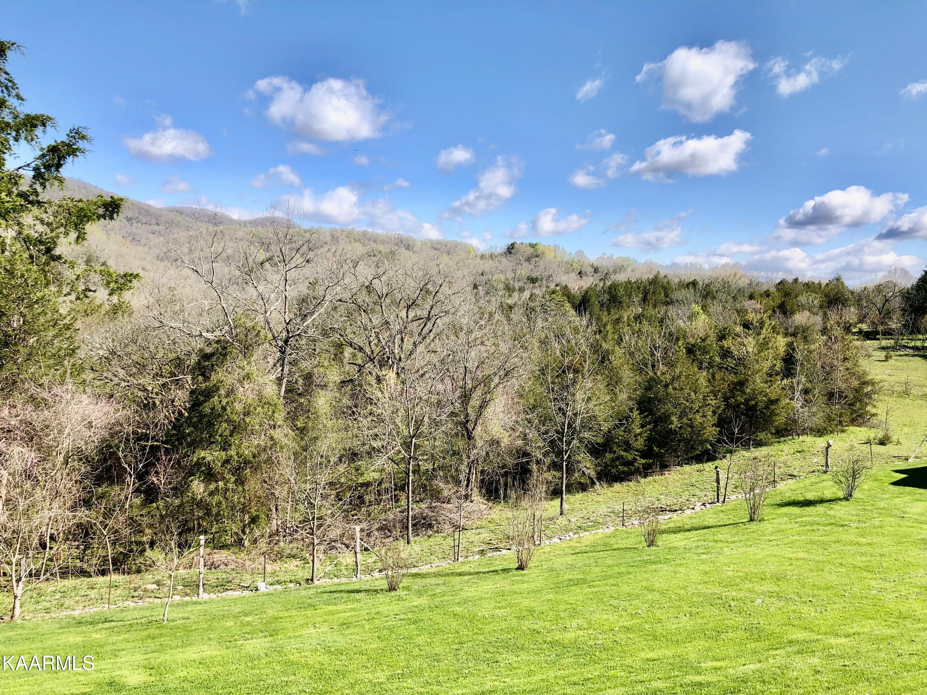 208 Bug Hole Road Cumberland Gap, TN 37724 - Photo 57 of 60 64