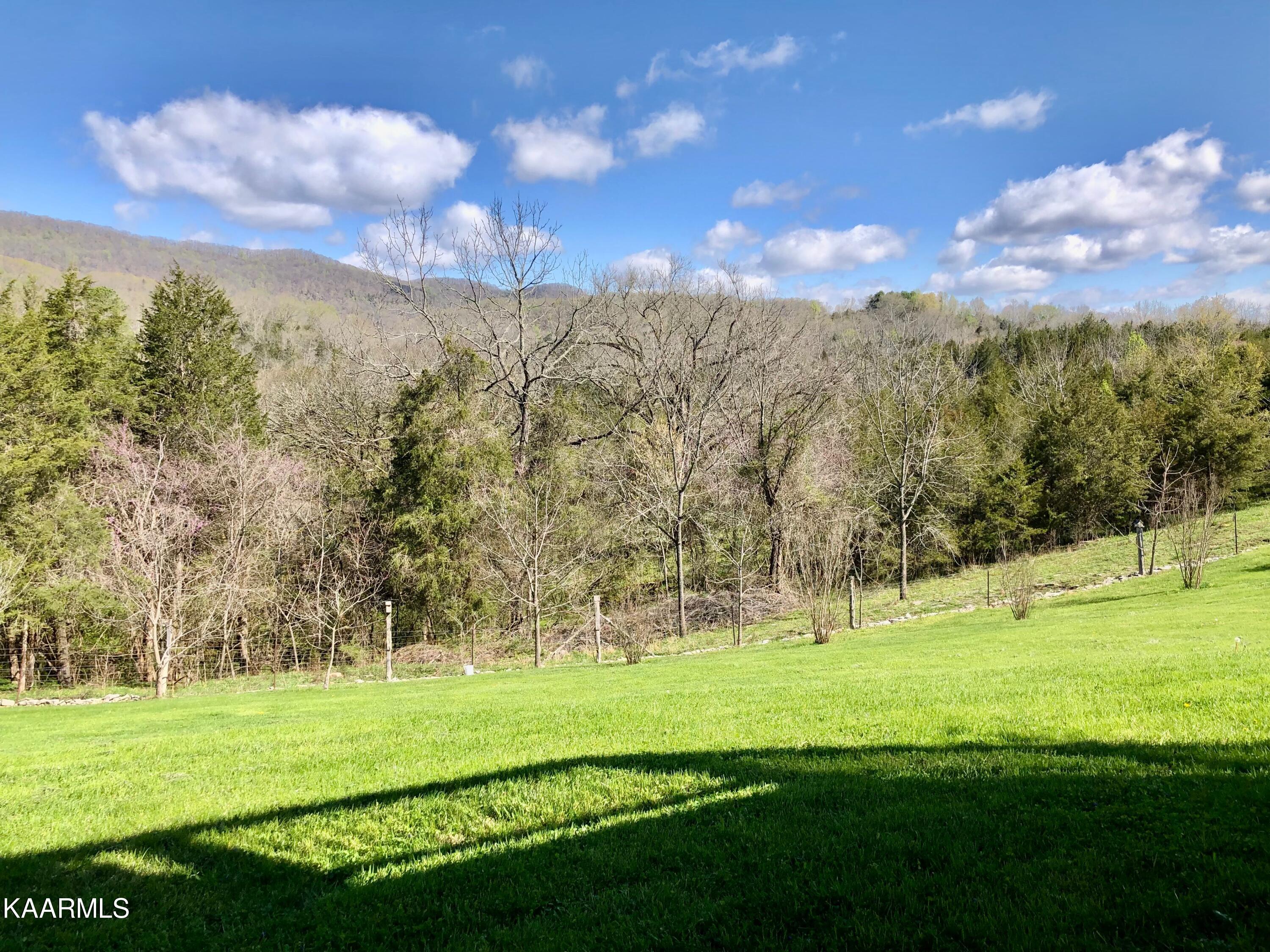 208 Bug Hole Road Cumberland Gap, TN 37724 - Photo 58 of 60 65