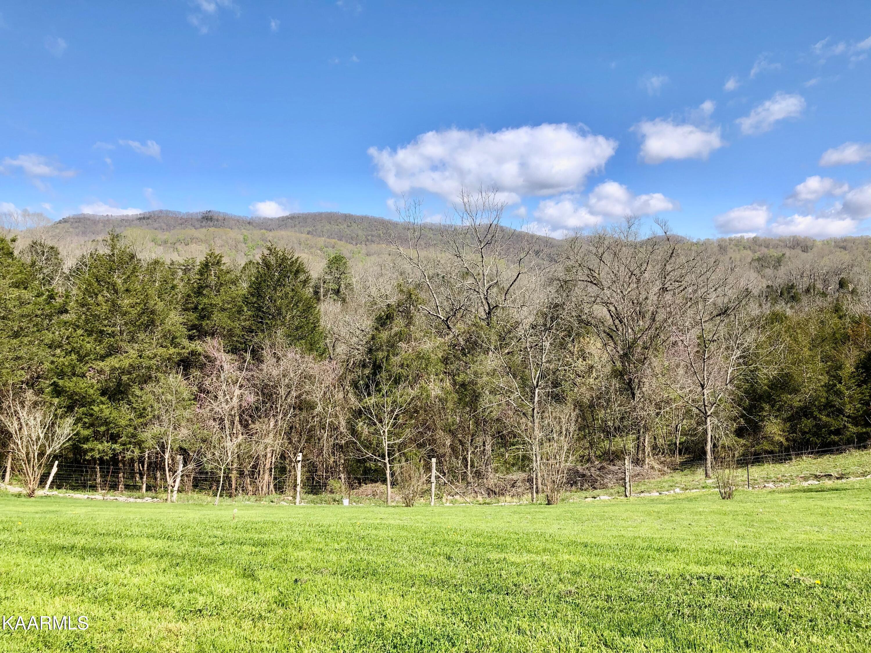 208 Bug Hole Road Cumberland Gap, TN 37724 - Photo 59 of 60 66
