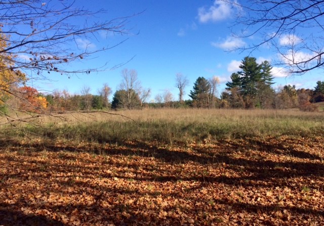 50 North Shore Road Derry, NH 03038 - Photo 5 of 12