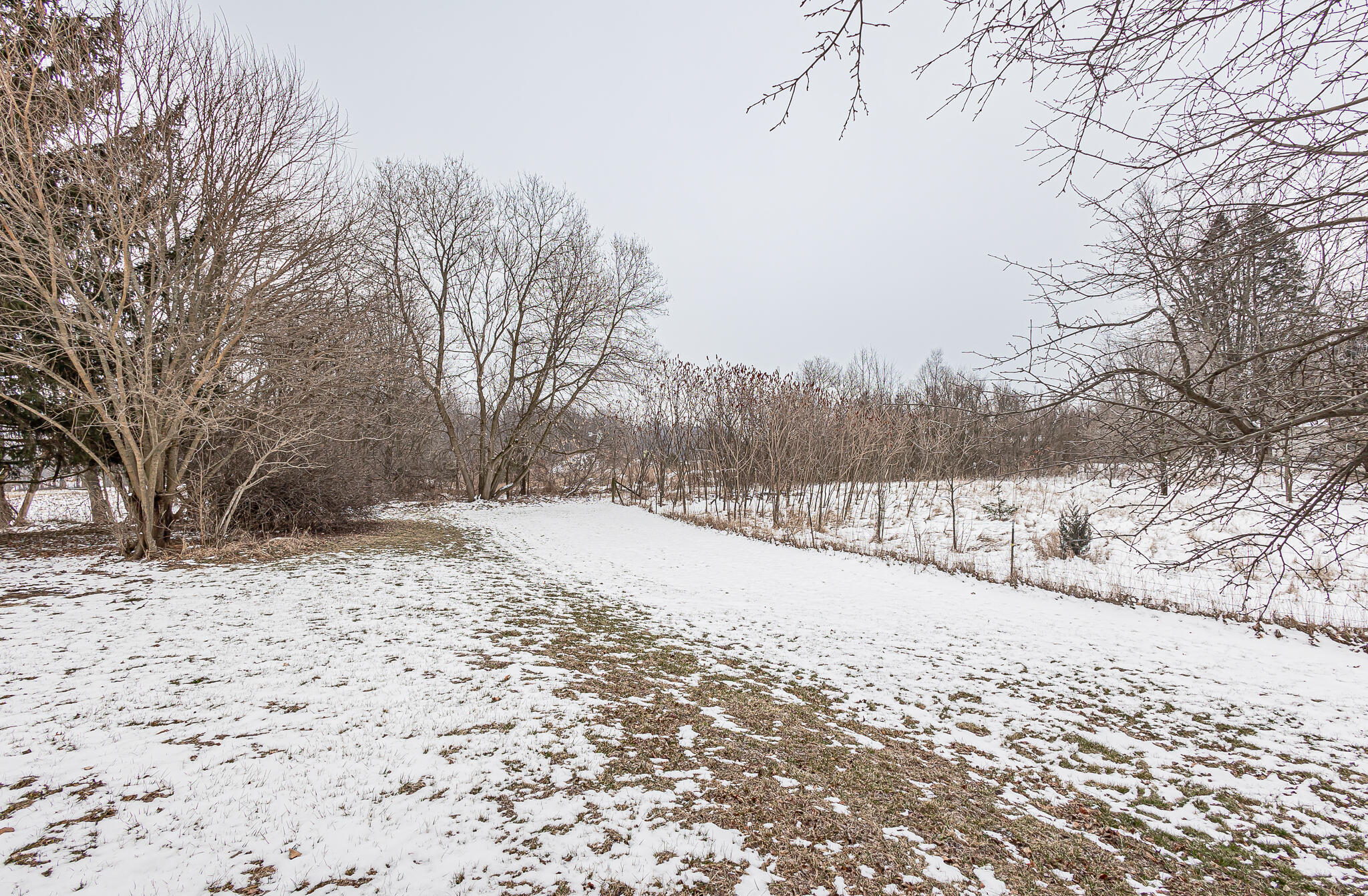 835 South Ray Quincy Road Montgomery, MI 49255 - Photo 50 of 54 781A9681