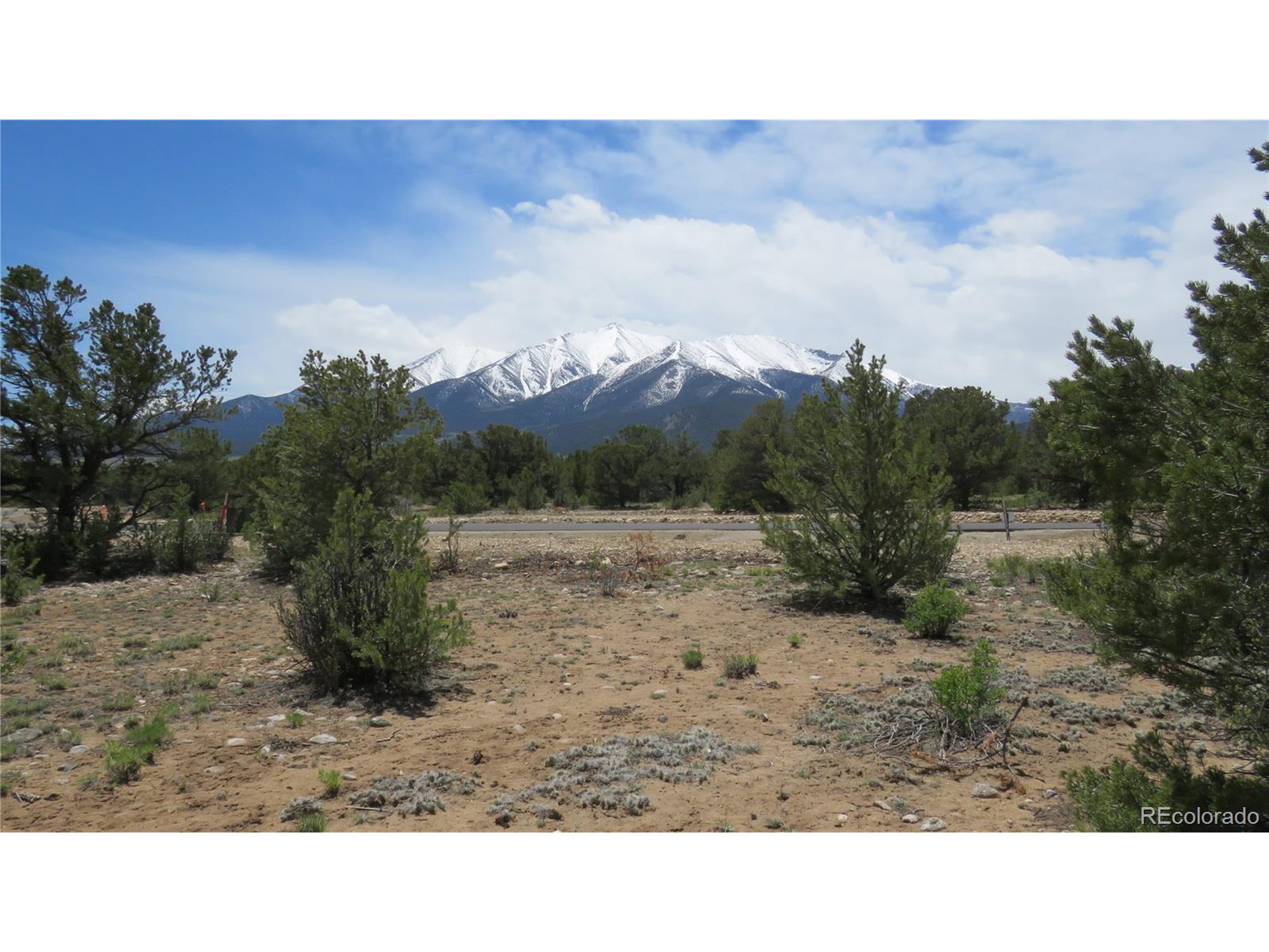 29266 Timber Ridge Buena Vista, CO 81211 - Photo 14 of 44 a black and white photo of a field