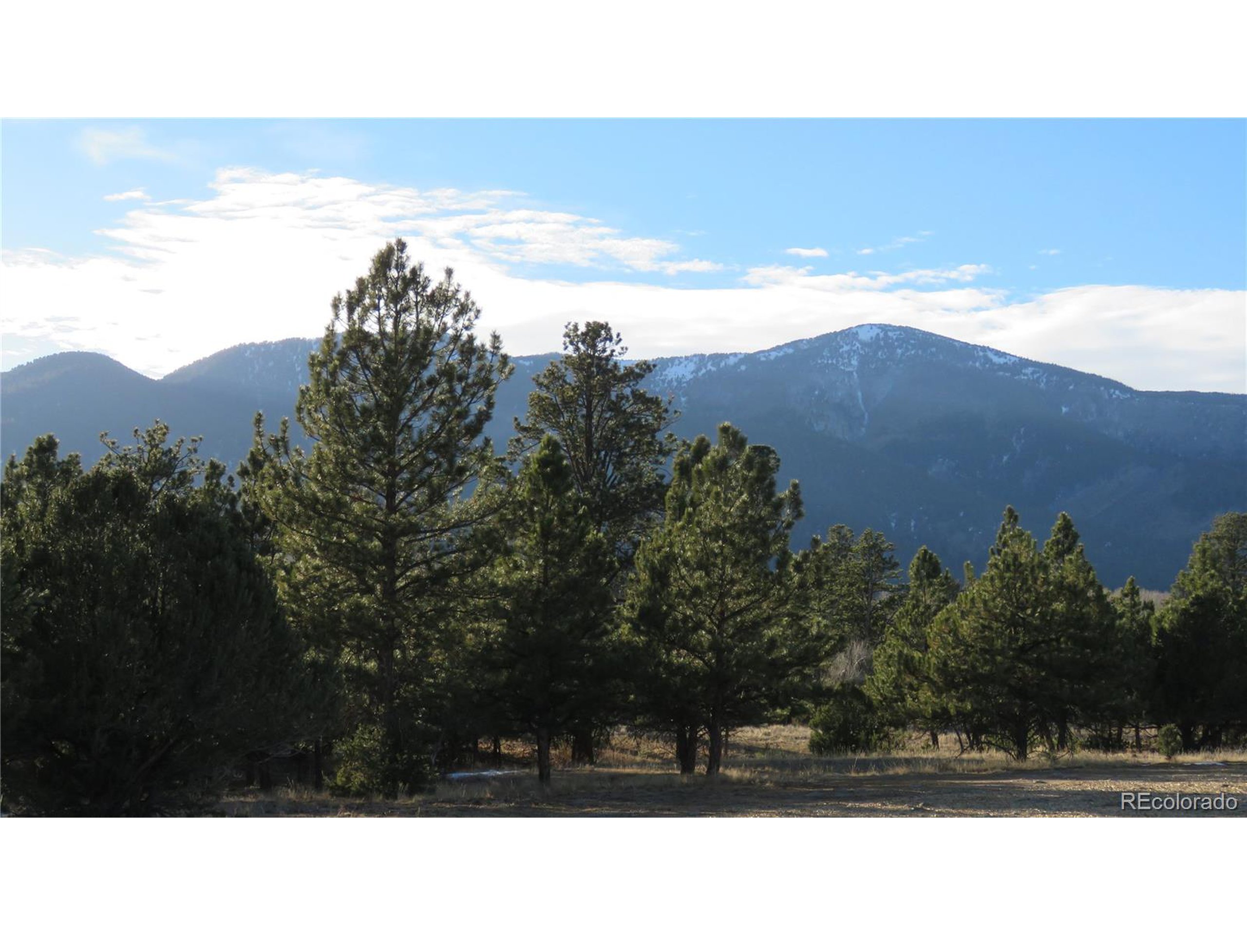 29266 Timber Ridge Buena Vista, CO 81211 - Photo 15 of 44 a black and white photo of a field