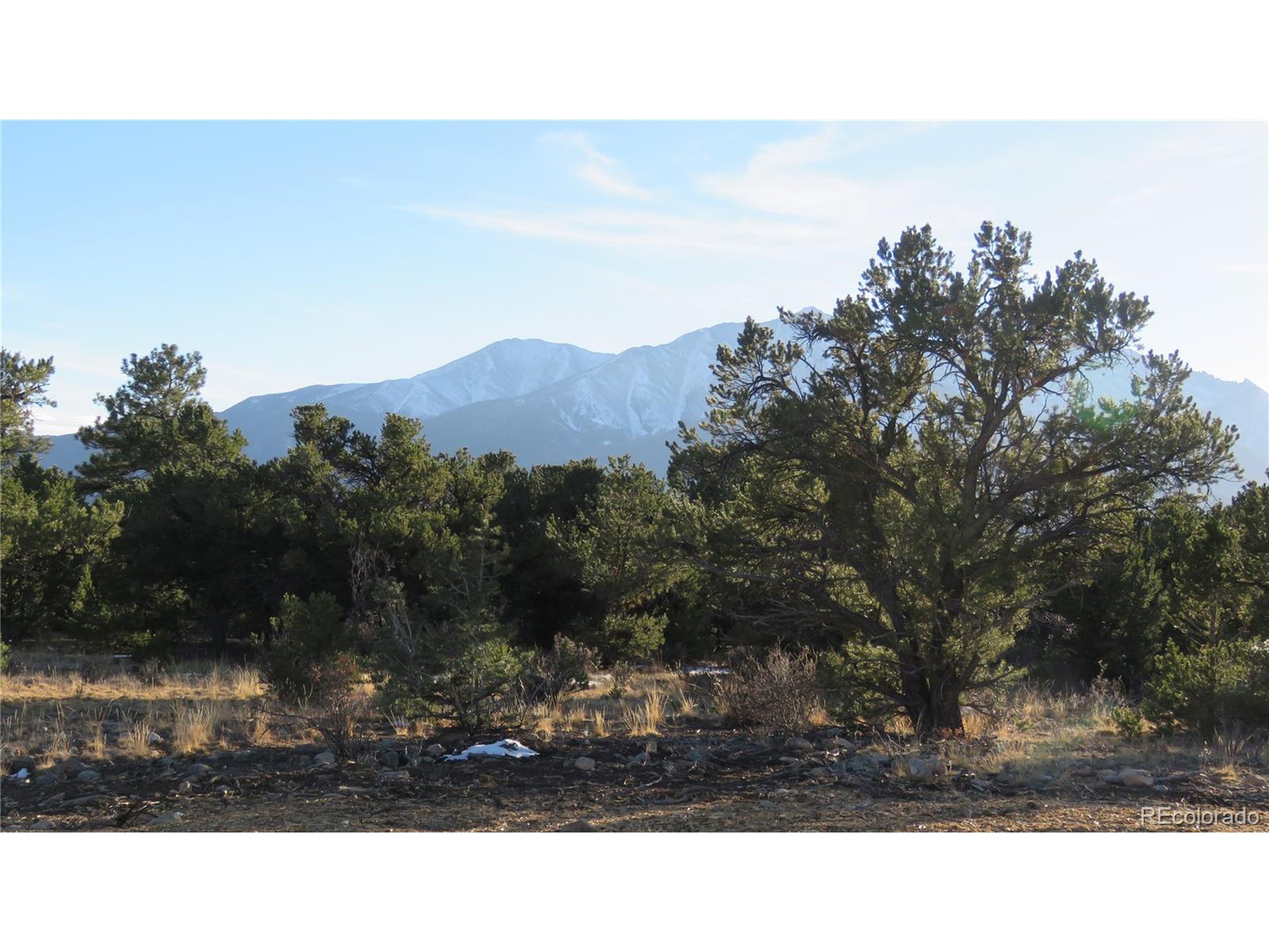 29266 Timber Ridge Buena Vista, CO 81211 - Photo 18 of 44 a black and white photo of a mountain