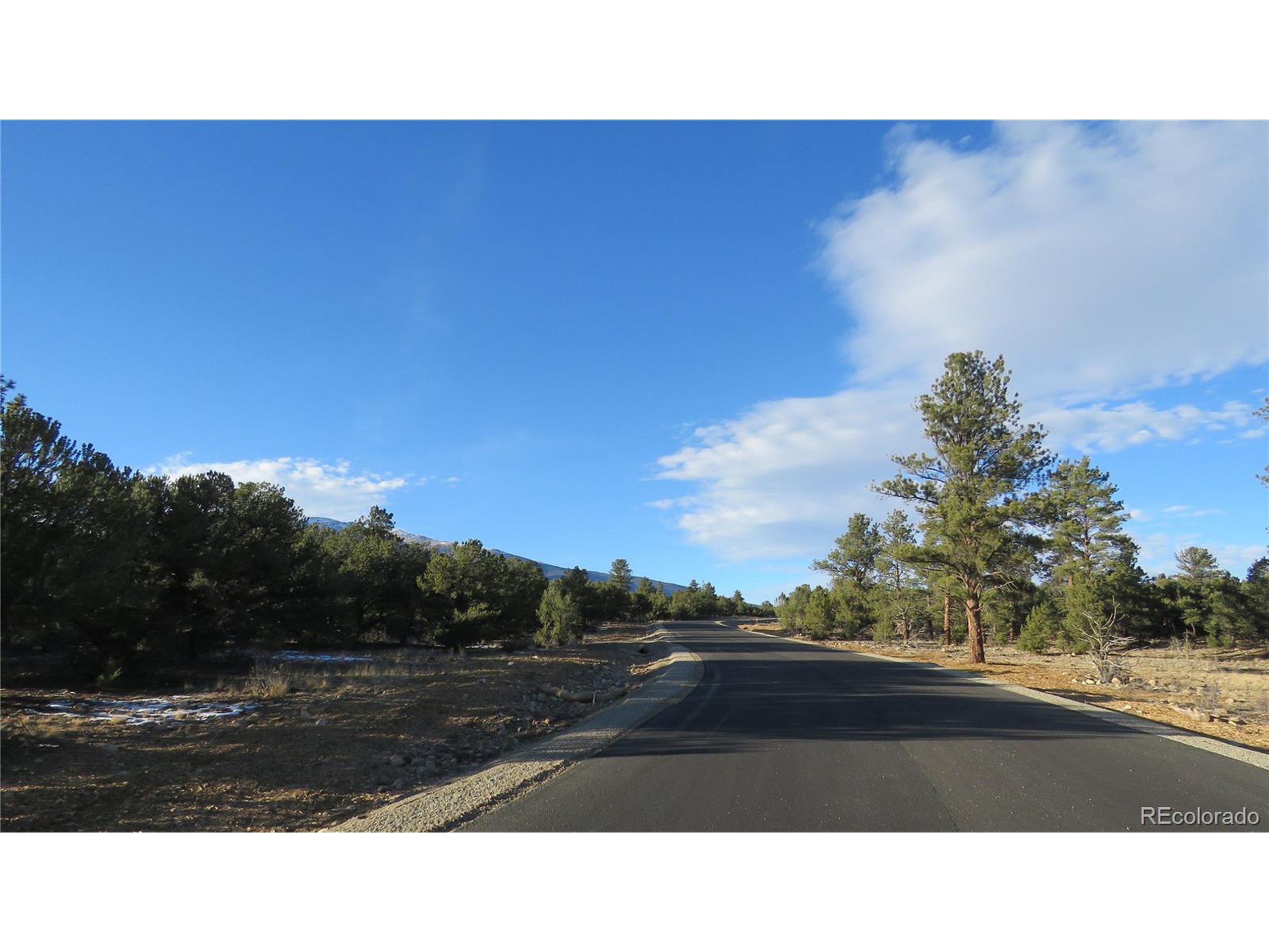29266 Timber Ridge Buena Vista, CO 81211 - Photo 19 of 44 a black and white photo of a park
