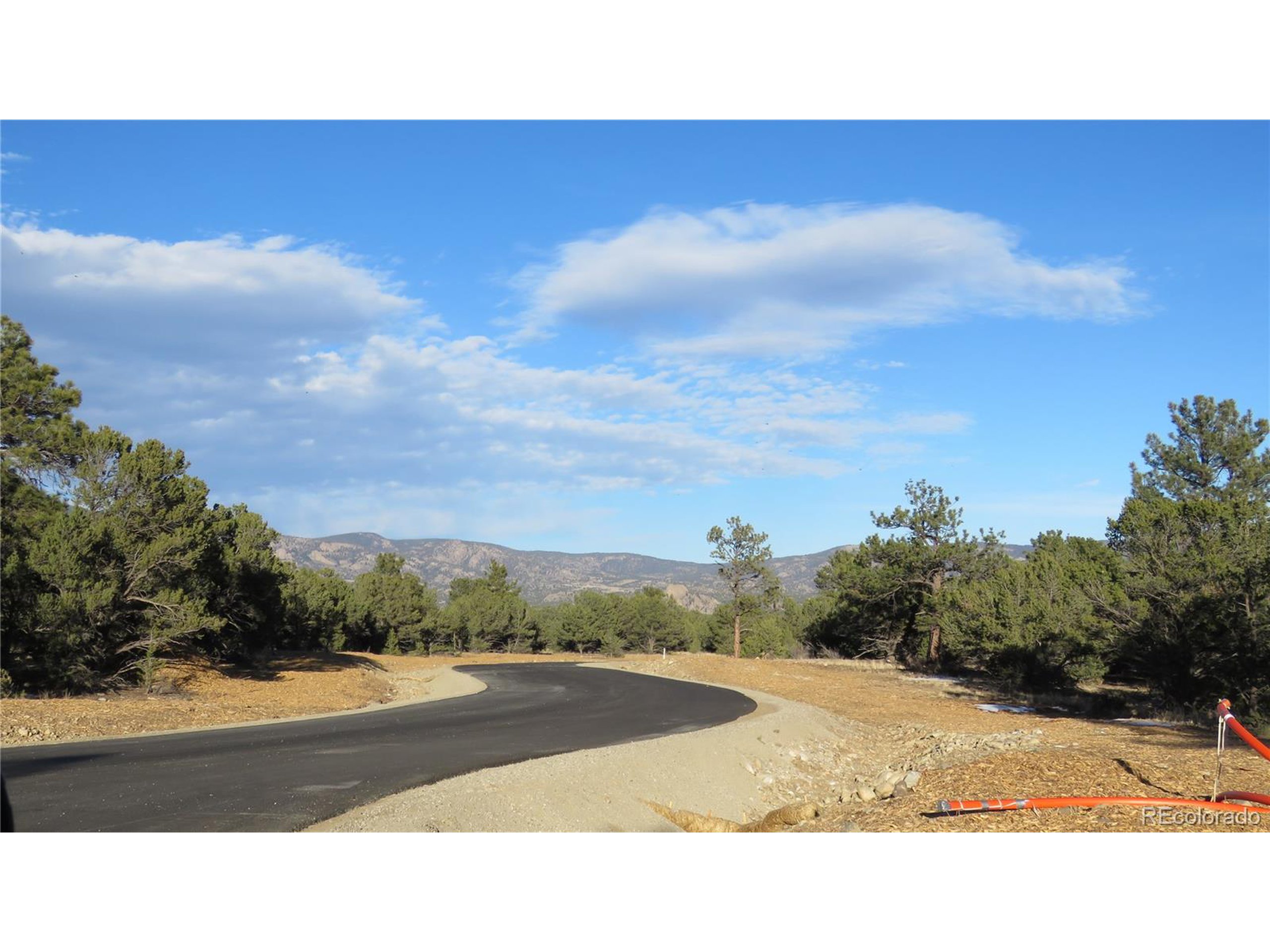 29266 Timber Ridge Buena Vista, CO 81211 - Photo 24 of 44