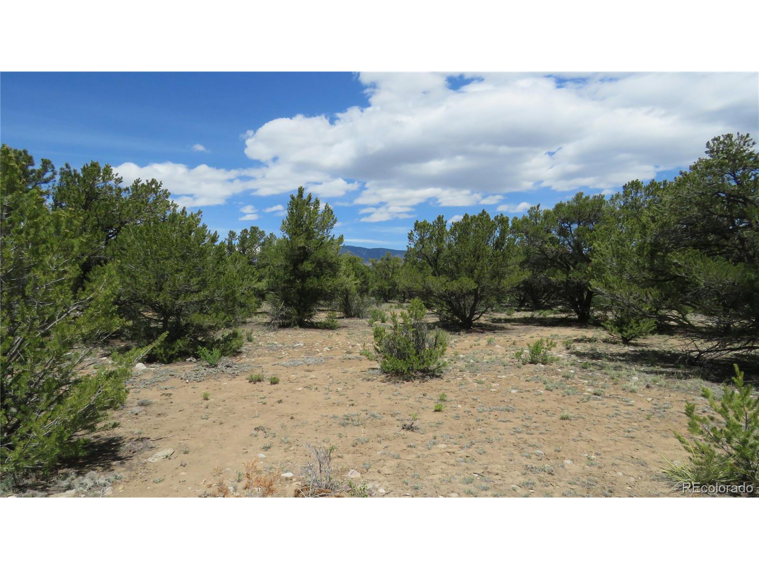 29266 Timber Ridge Buena Vista, CO 81211 - Photo 28 of 44 a outdoor view