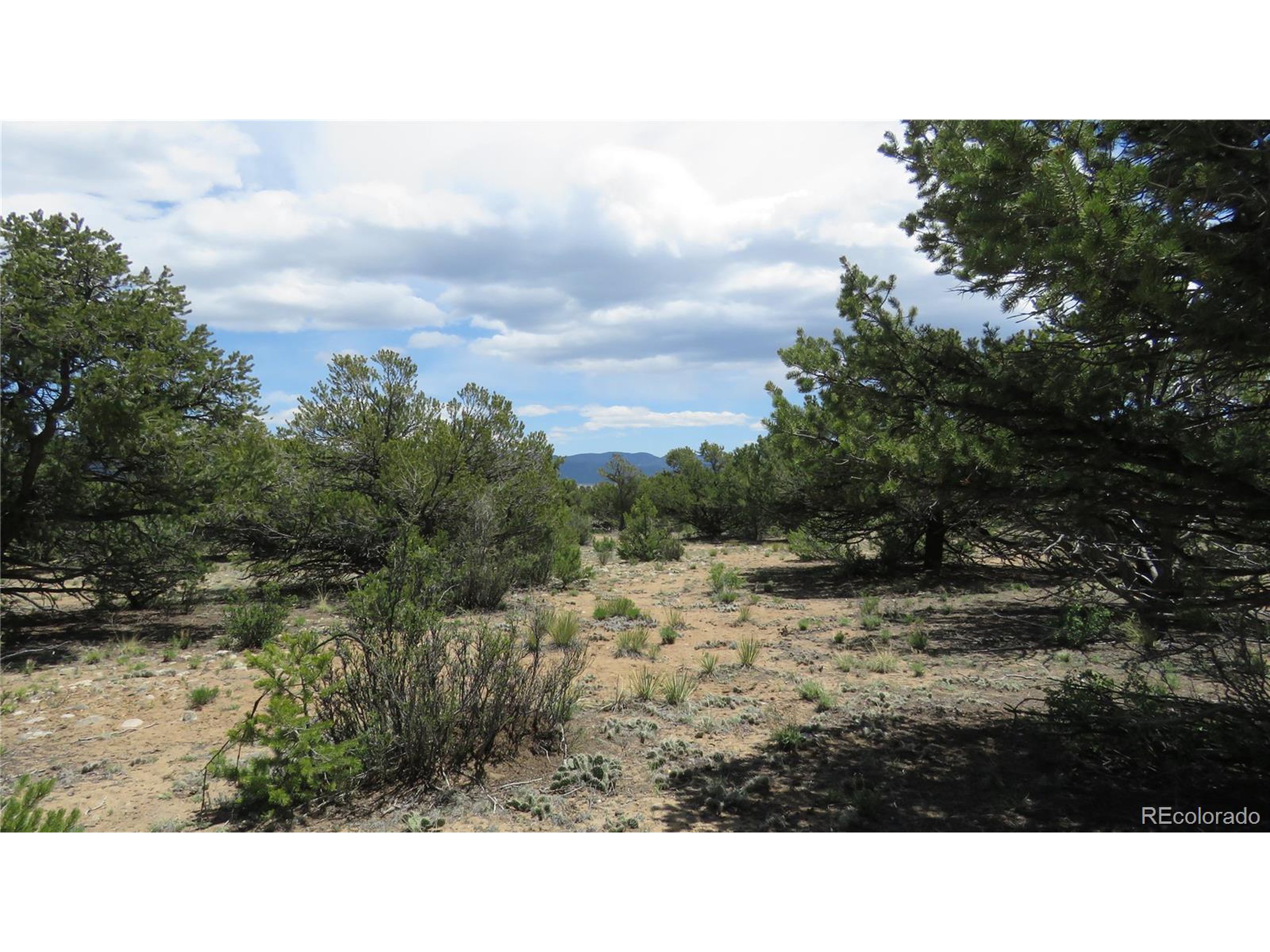 29266 Timber Ridge Buena Vista, CO 81211 - Photo 30 of 44