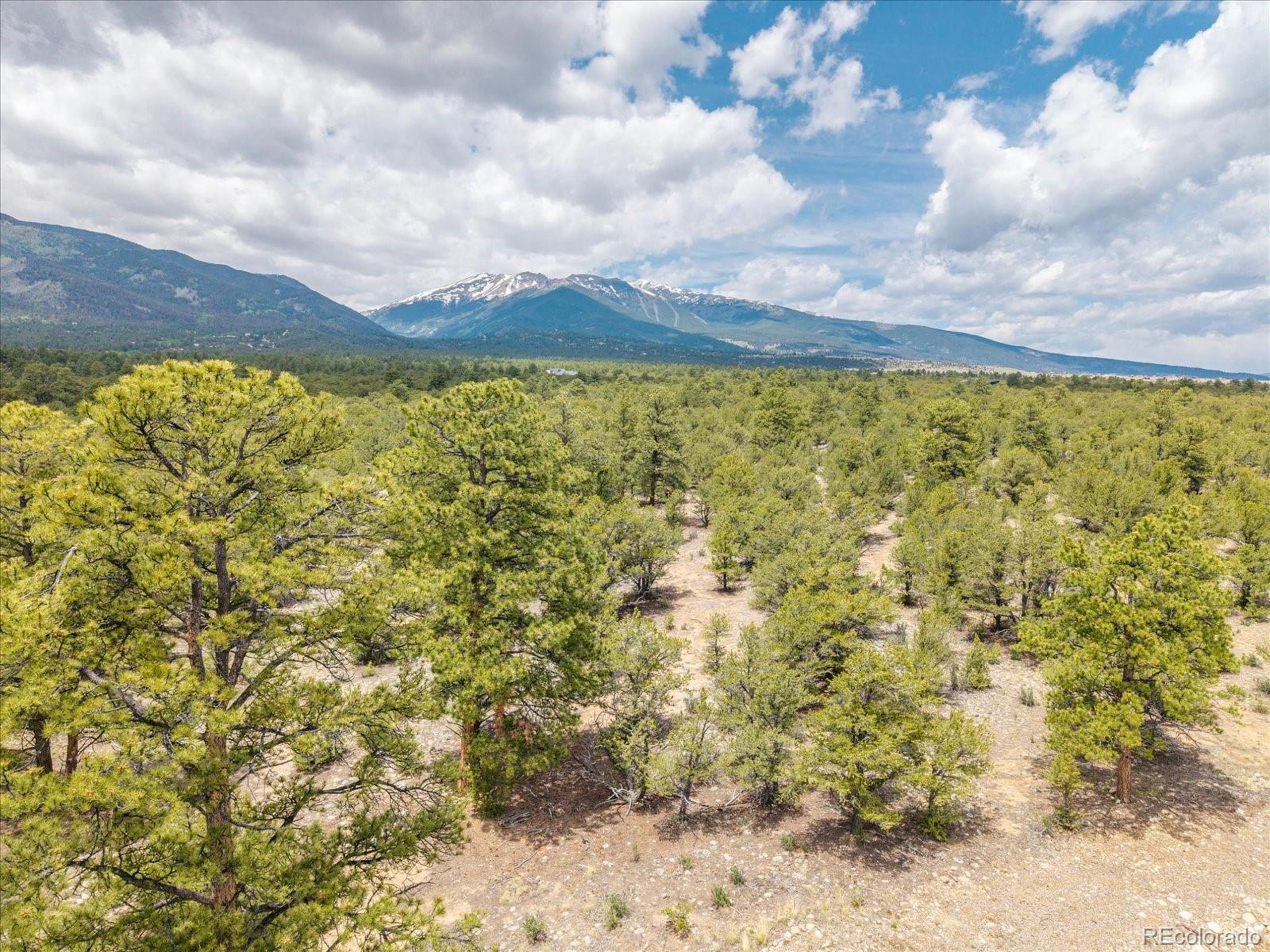 29266 Timber Ridge Buena Vista, CO 81211 - Photo 3 of 44