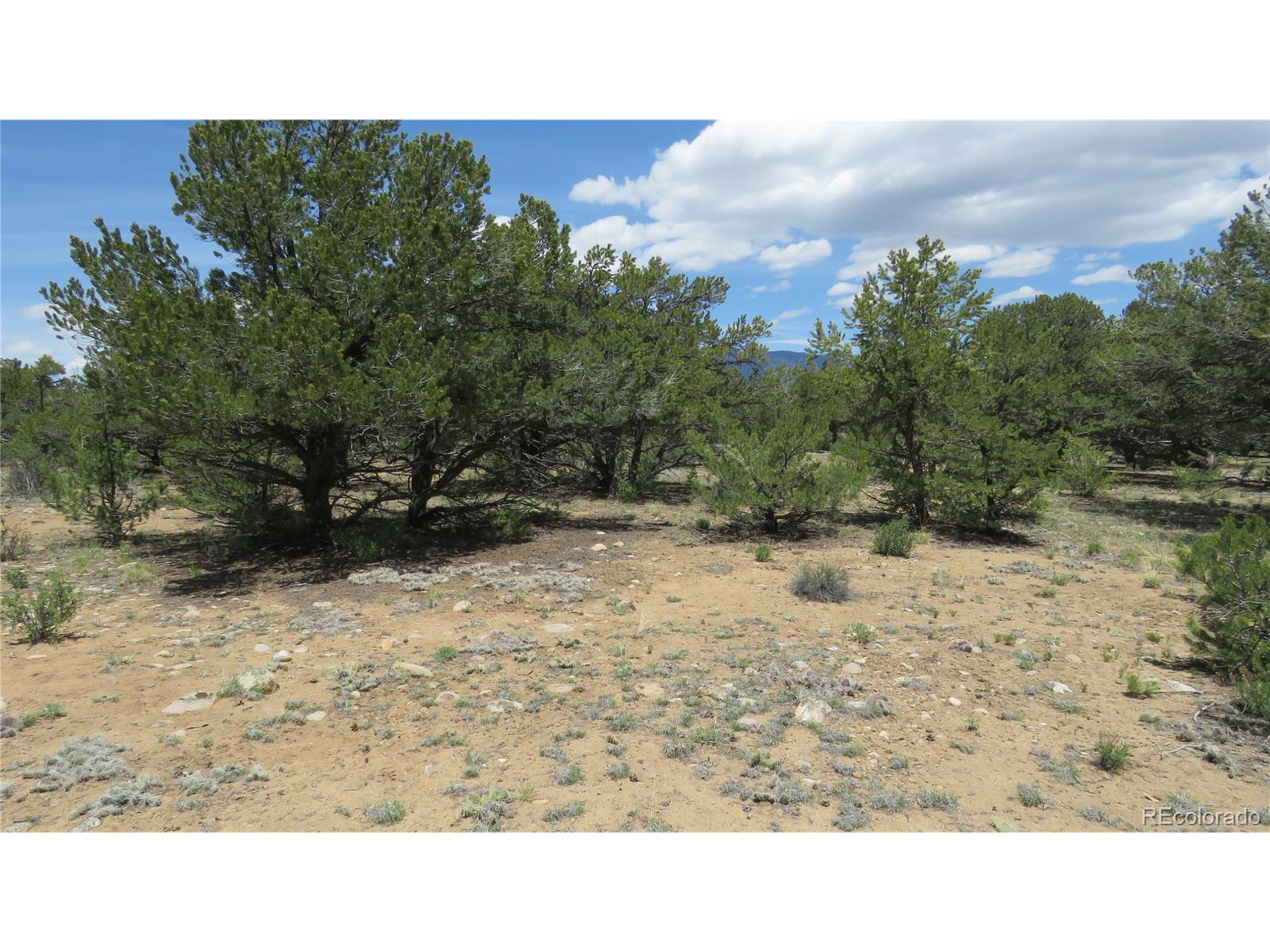 29266 Timber Ridge Buena Vista, CO 81211 - Photo 31 of 44 a black and white photo of a beach