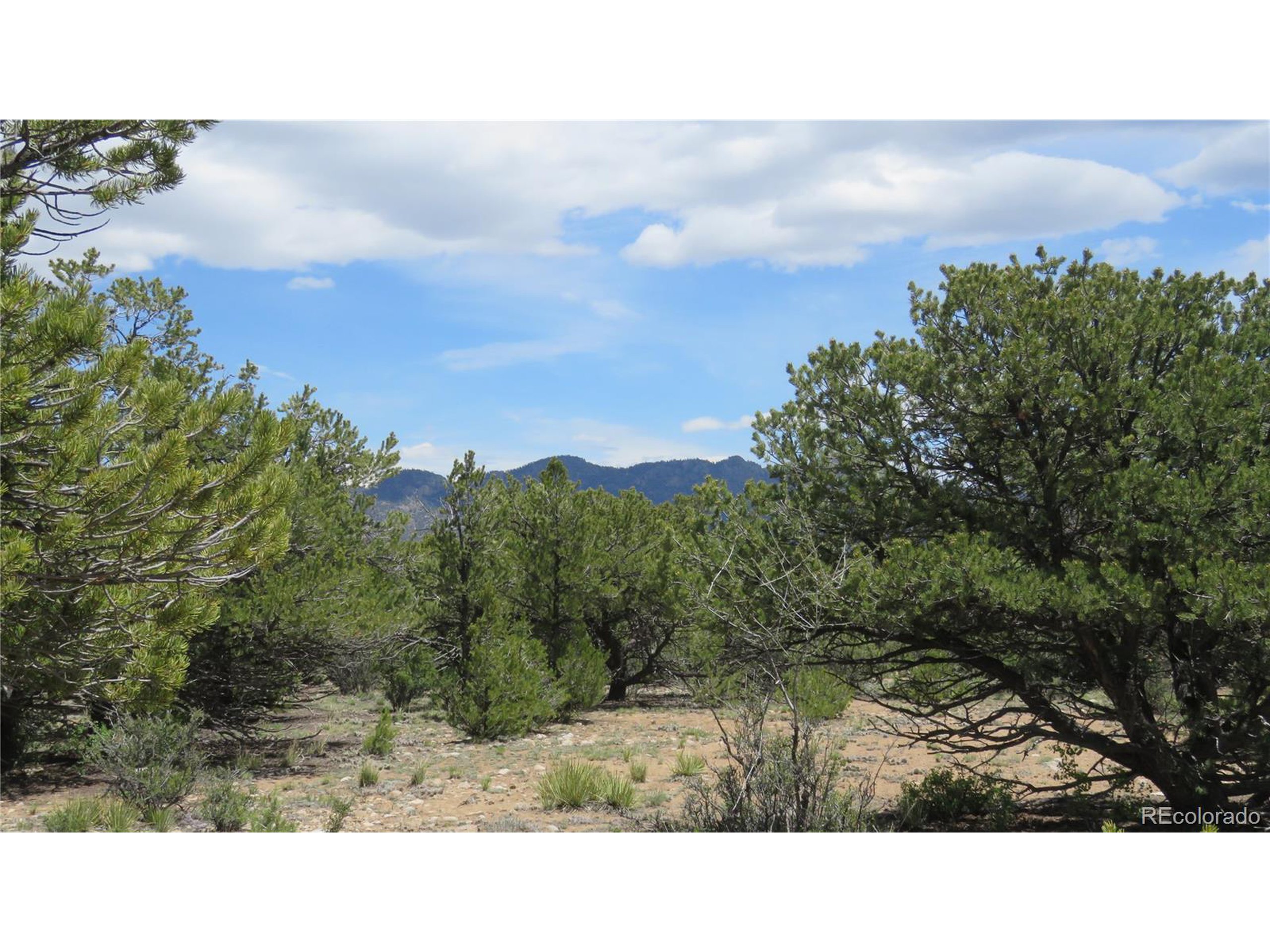 29266 Timber Ridge Buena Vista, CO 81211 - Photo 32 of 44 a view of a city