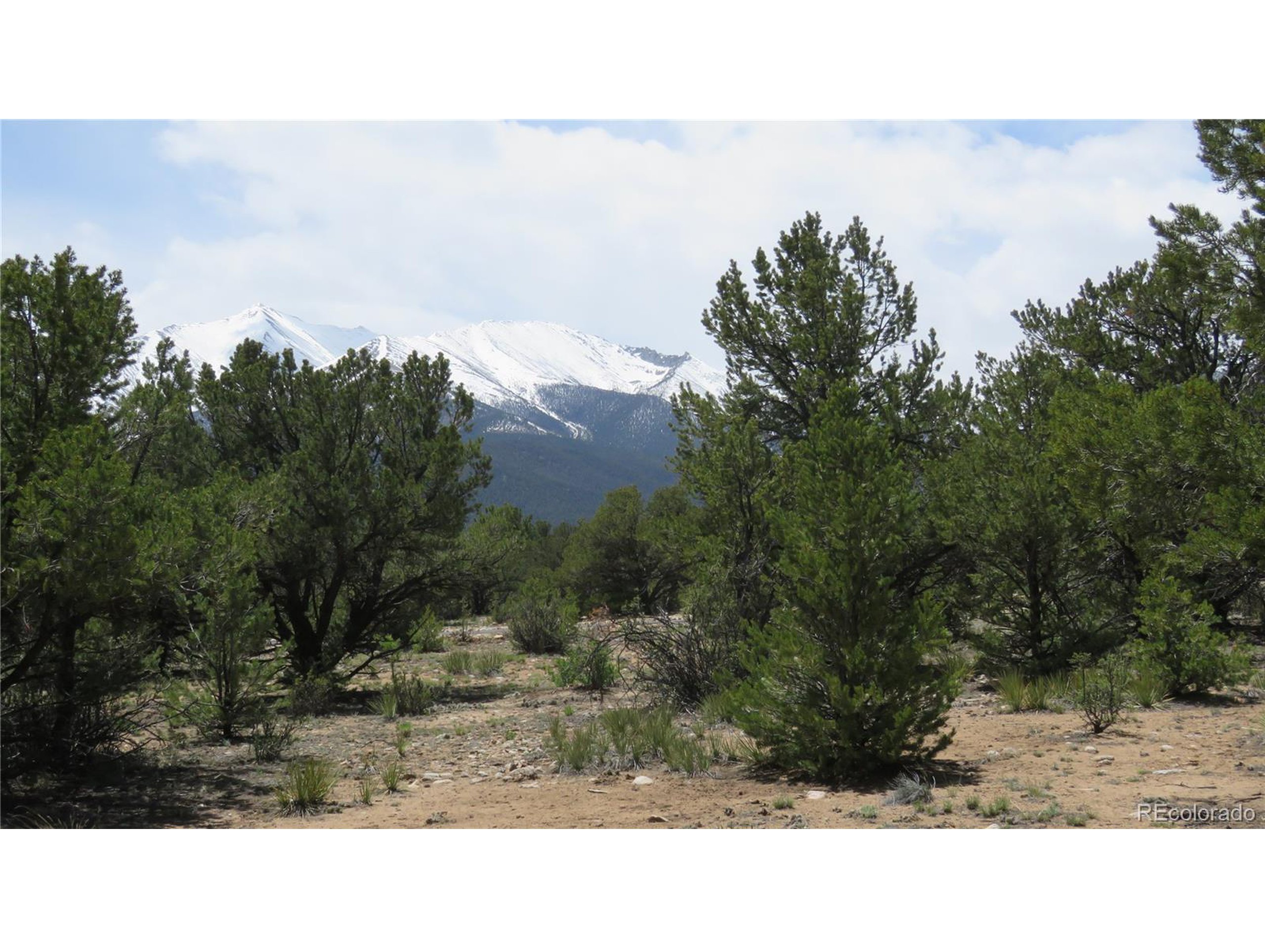 29266 Timber Ridge Buena Vista, CO 81211 - Photo 34 of 44 a black and white photo of a lake