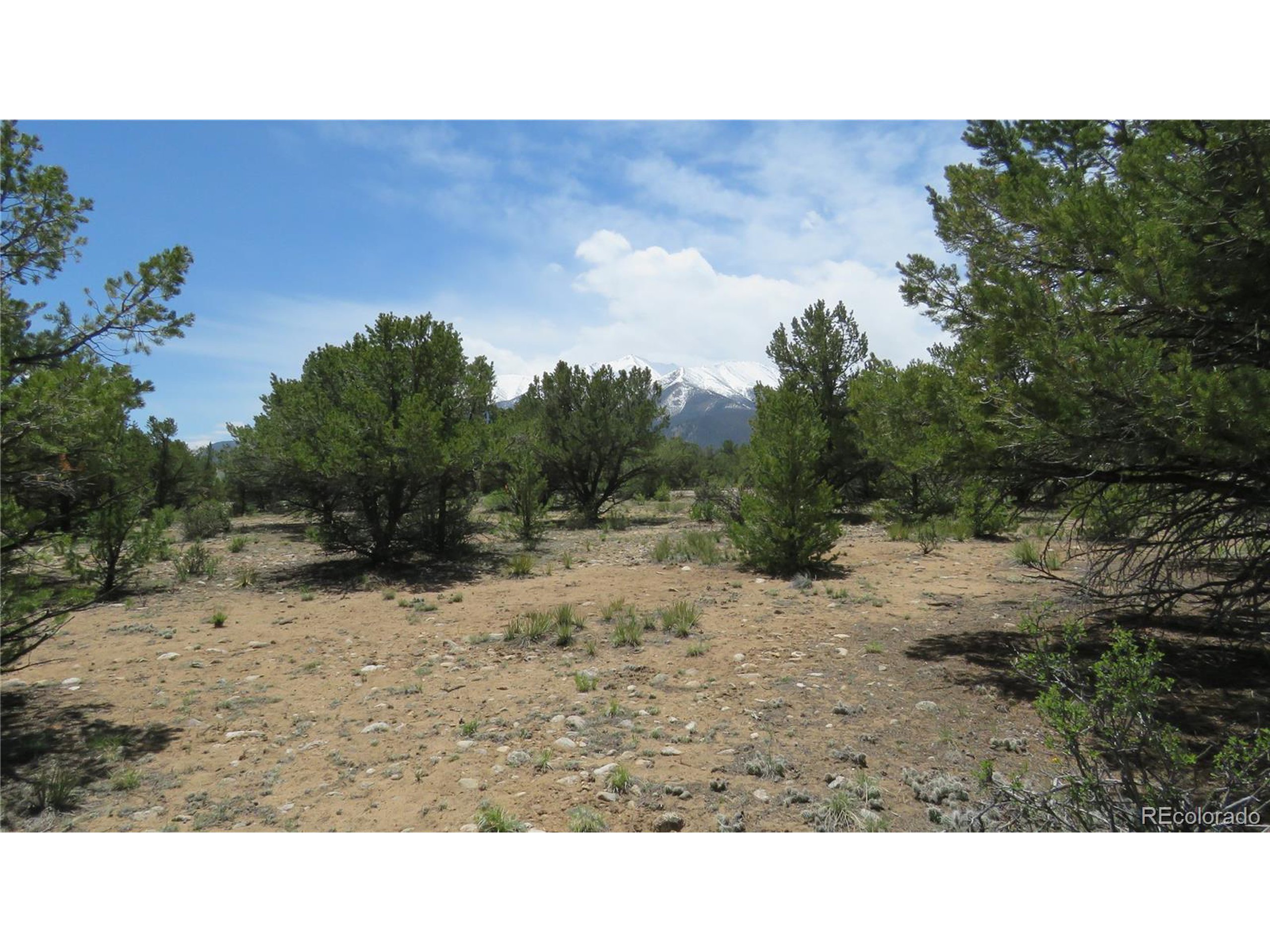 29266 Timber Ridge Buena Vista, CO 81211 - Photo 36 of 44 a open area with a park