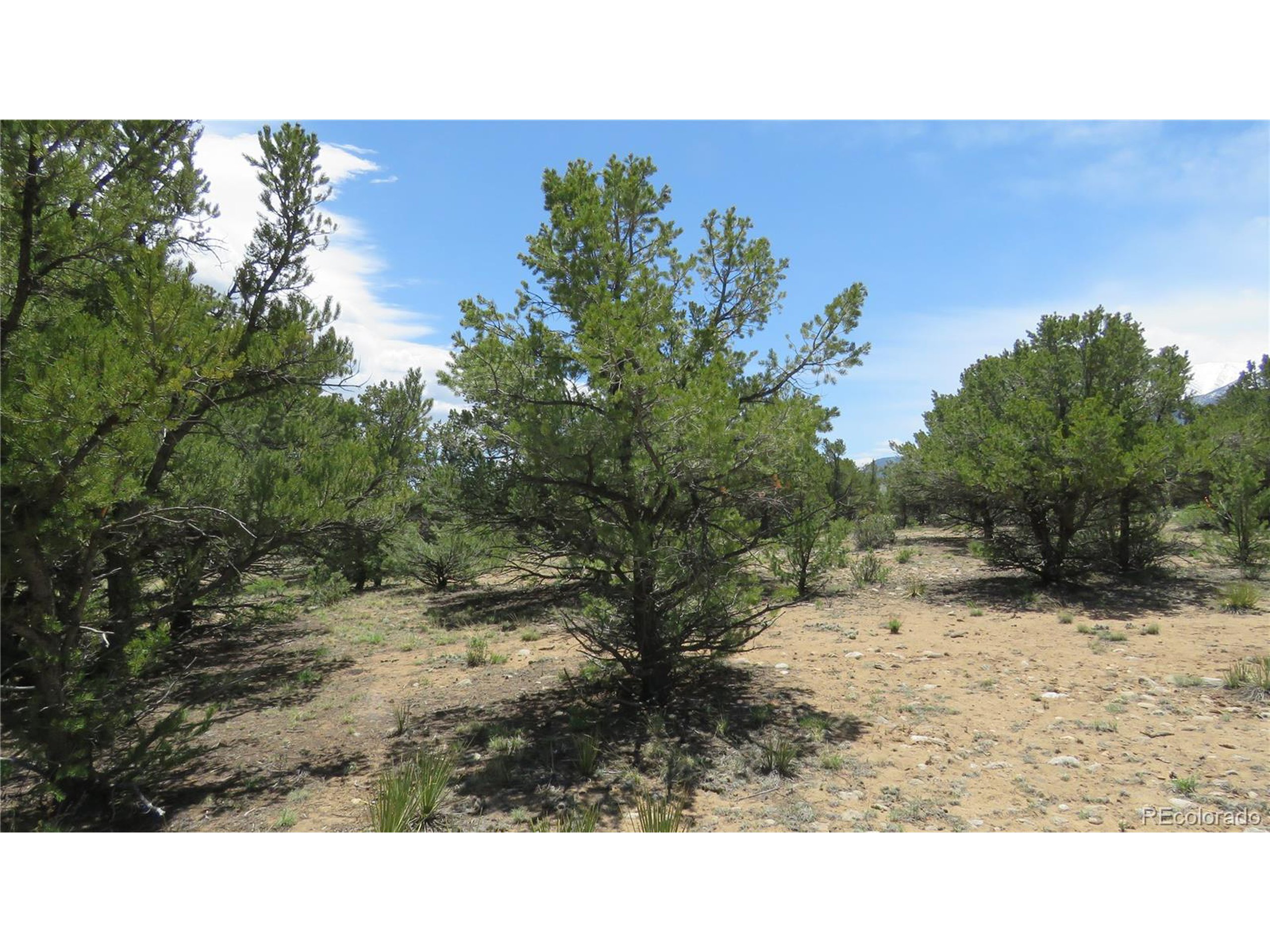 29266 Timber Ridge Buena Vista, CO 81211 - Photo 37 of 44 a open area with a park