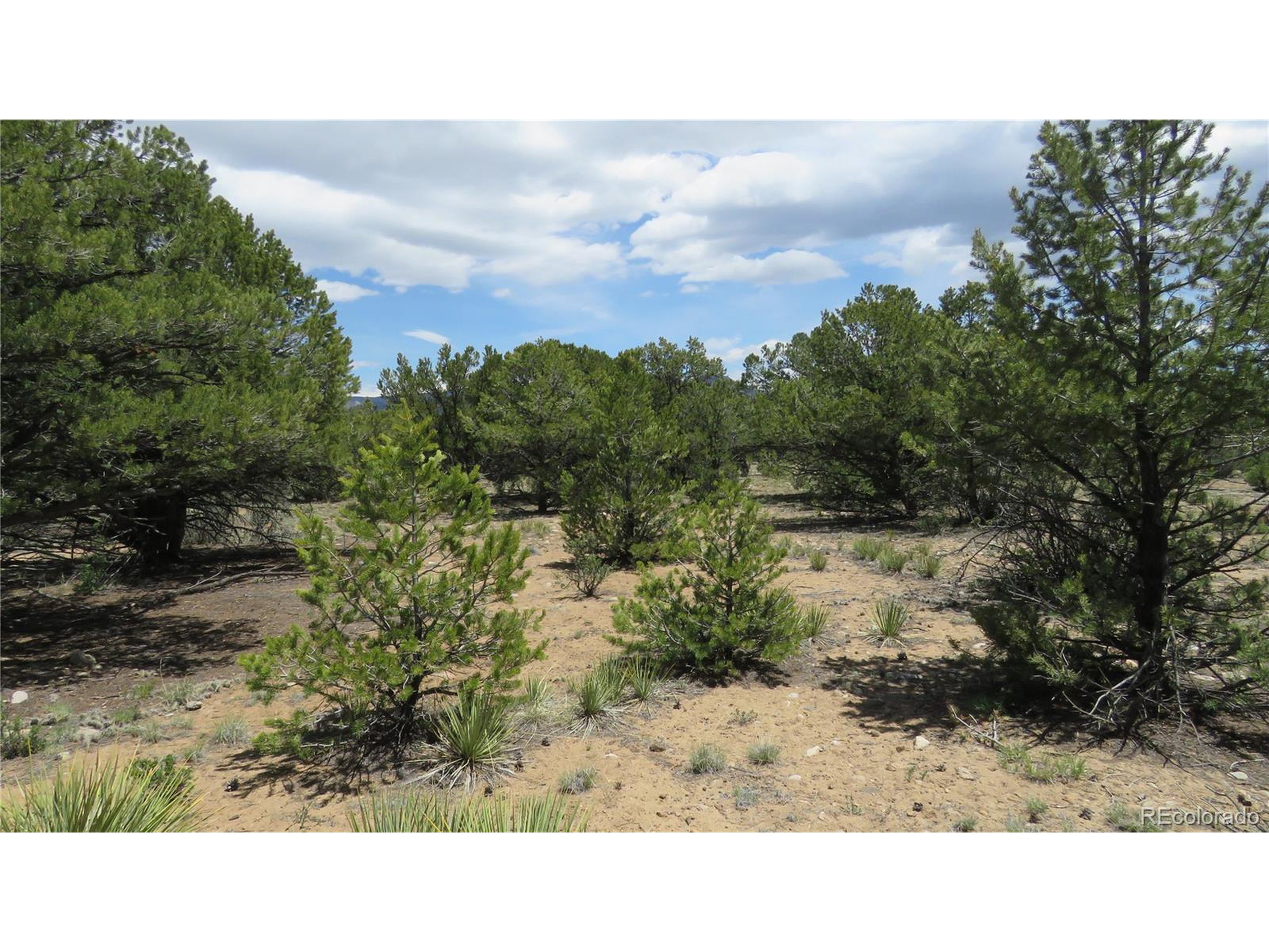 29266 Timber Ridge Buena Vista, CO 81211 - Photo 41 of 44 a outdoor view