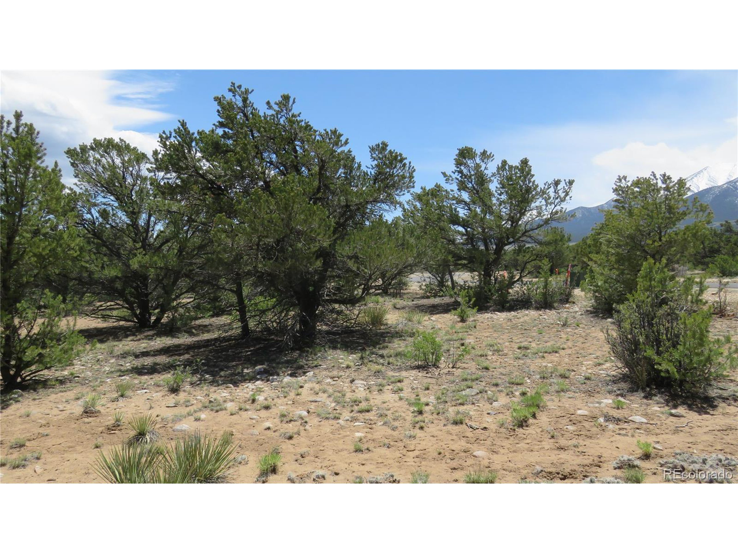 29266 Timber Ridge Buena Vista, CO 81211 - Photo 42 of 44 a black and white photo of a field