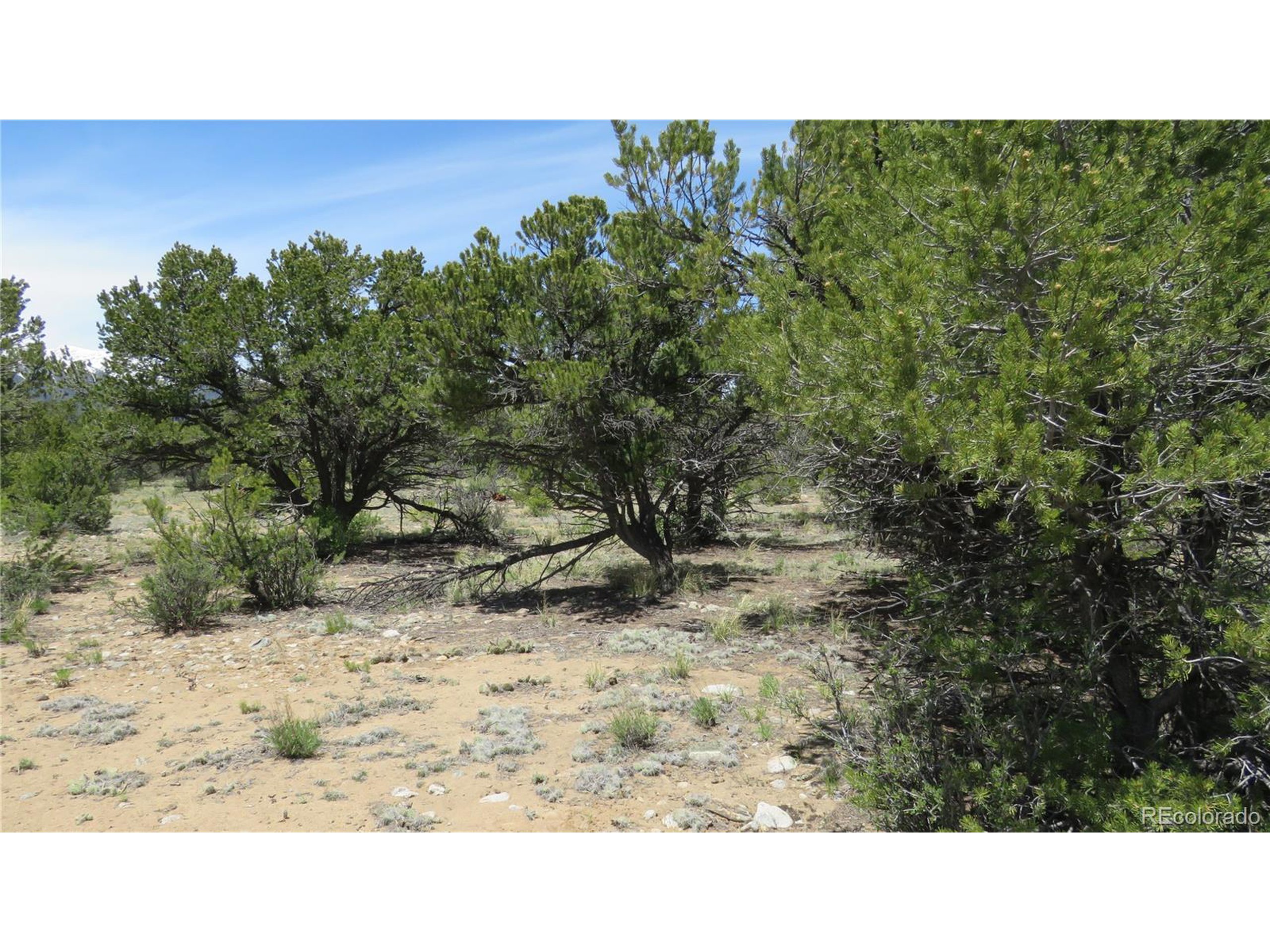 29266 Timber Ridge Buena Vista, CO 81211 - Photo 43 of 44 a black and white photo of a house