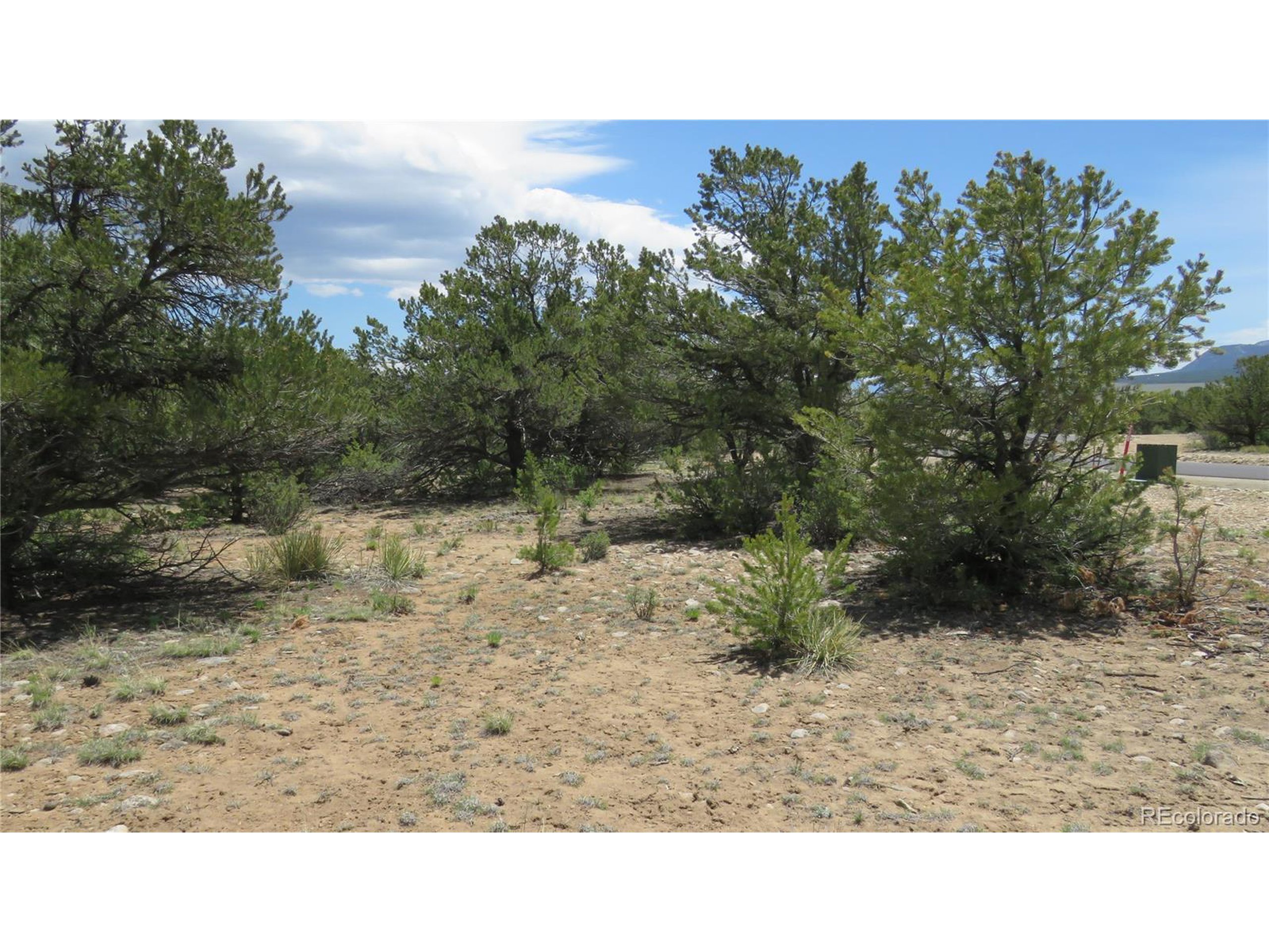 29266 Timber Ridge Buena Vista, CO 81211 - Photo 44 of 44 a black and white photo of a field