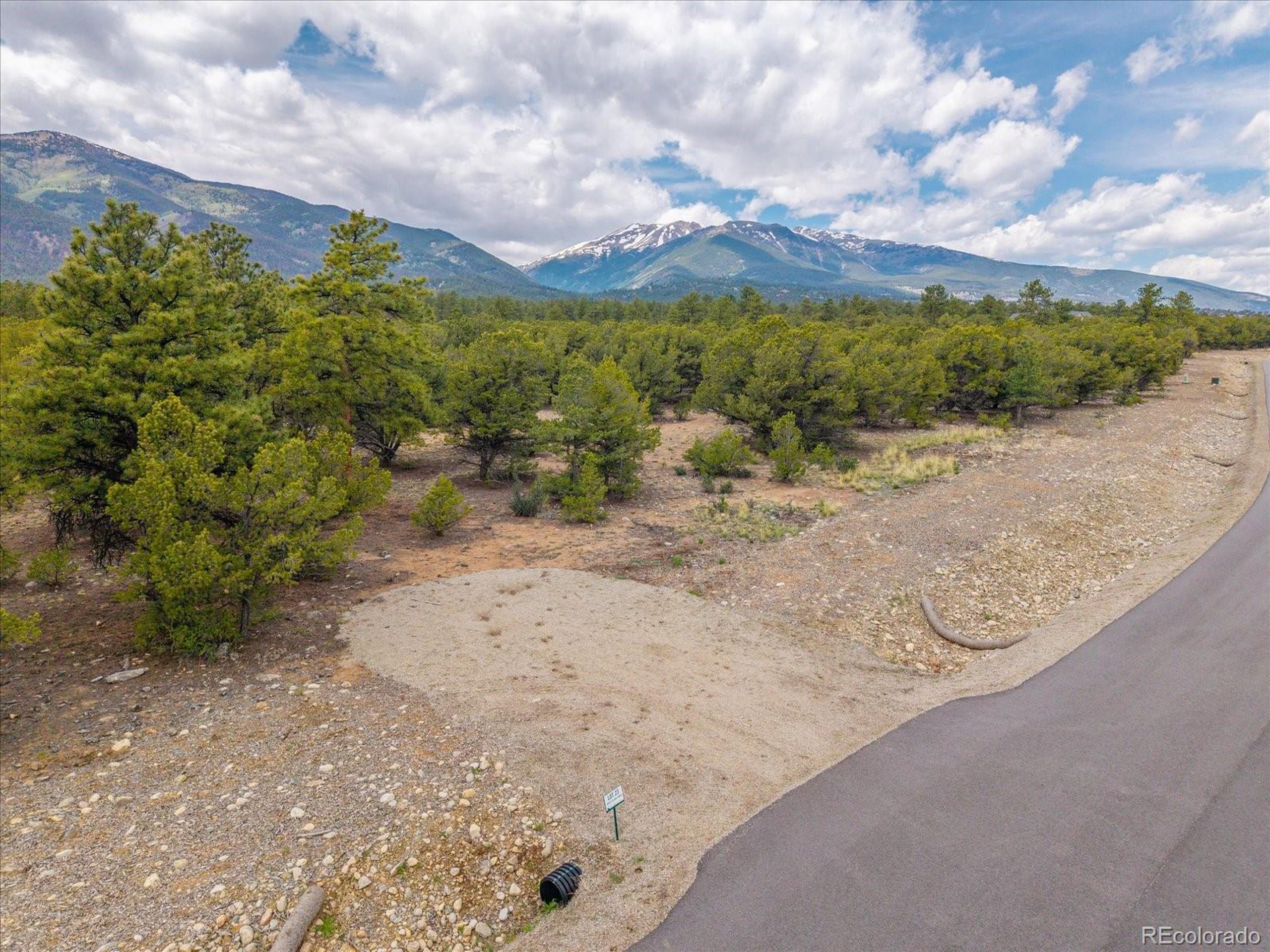 29266 Timber Ridge Buena Vista, CO 81211 - Photo 5 of 44 a view of a dry yard with wooden fence