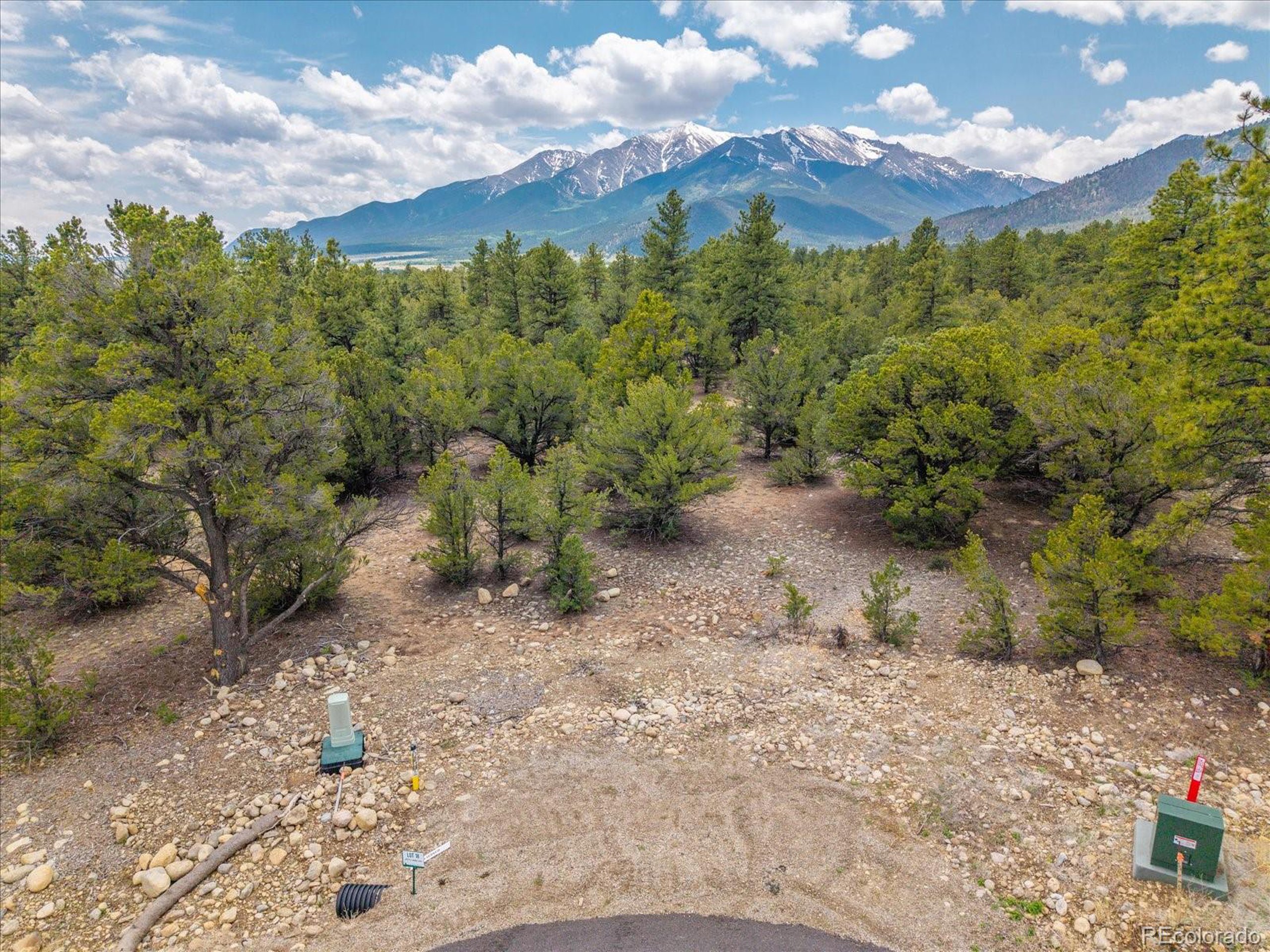 29266 Timber Ridge Buena Vista, CO 81211 - Photo 10 of 44 a view of a yard with plants and a bench