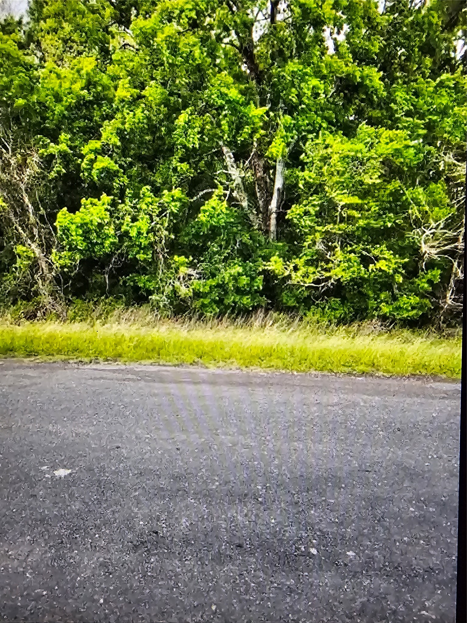 0 County Road Wharton, TX 77488 - Photo 5 of 5