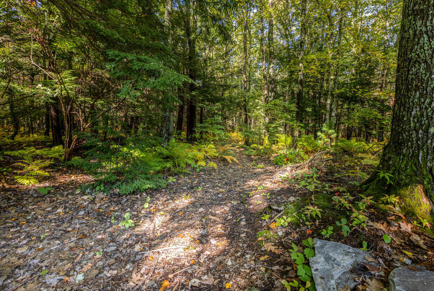 14 Landing Road Saco, ME 04072 - Photo 49 of 57 Trail