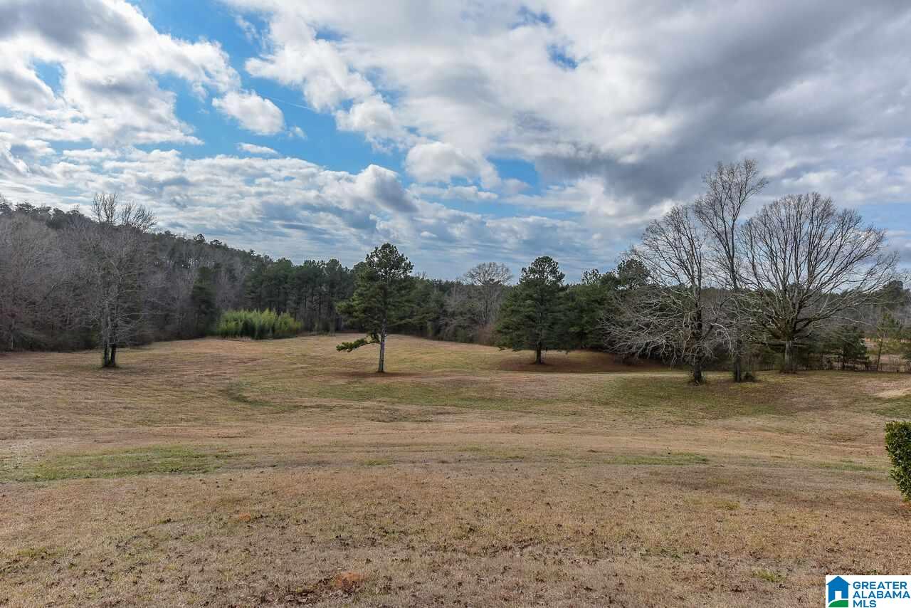 8430 Taylors Ferry Road Bessemer, AL 35023 - Photo 41 of 41