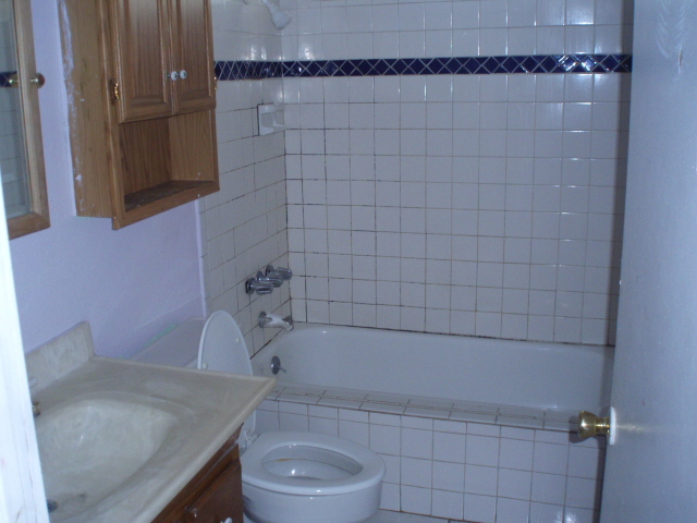 4756 East Apollo Road Phoenix, AZ 85042 - Photo 5 of 11 Bathroom 1
