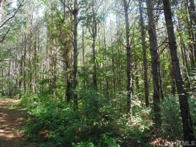 Harris Jones Road Louisburg, NC 27549 - Photo 11 of 25 Gallery Image 11