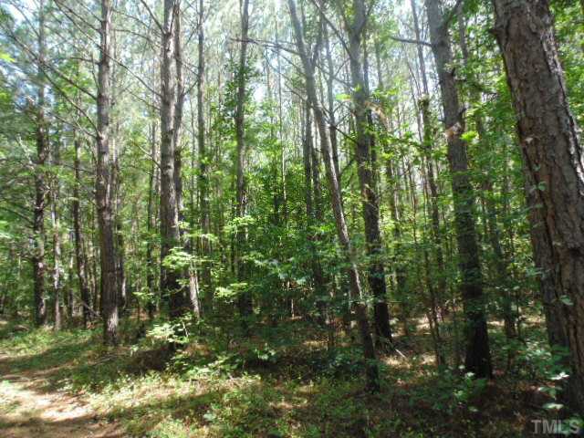 Harris Jones Road Louisburg, NC 27549 - Photo 14 of 25 Gallery Image 14