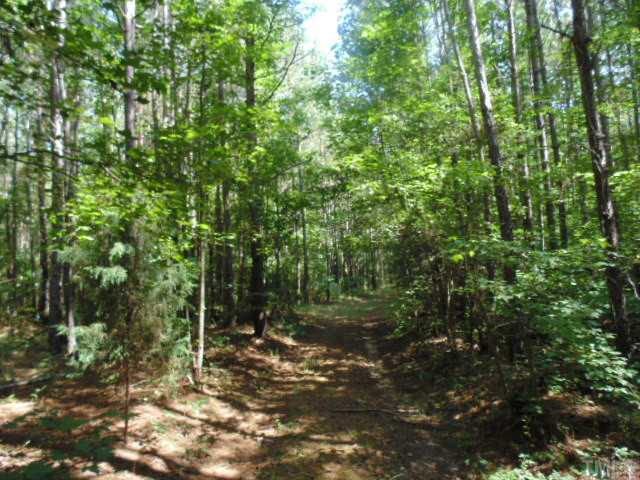 Harris Jones Road Louisburg, NC 27549 - Photo 16 of 25 Gallery Image 16