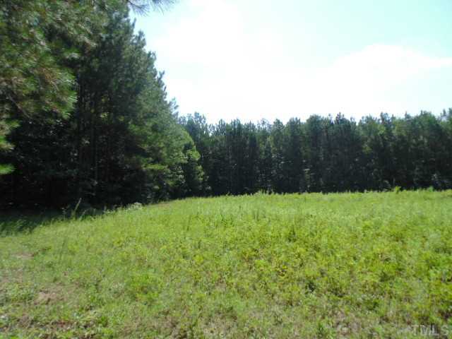 Harris Jones Road Louisburg, NC 27549 - Photo 5 of 25 Gallery Image 5