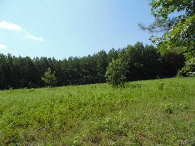 Harris Jones Road Louisburg, NC 27549 - Photo 6 of 25 Gallery Image 6