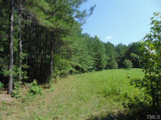 Harris Jones Road Louisburg, NC 27549 - Photo 8 of 25 Gallery Image 8