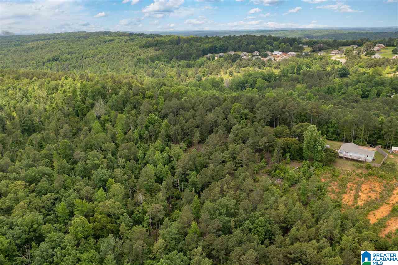 344 Roubdioux Road Bessemer, AL 35022 - Photo 30 of 37 Gallery Image 30