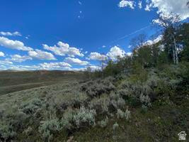 800 Homestead Road Road Cokeville, WY 83114 - Photo 22 of 49 Expansive open land with varying topography, natural ground cover, and scattered mature trees