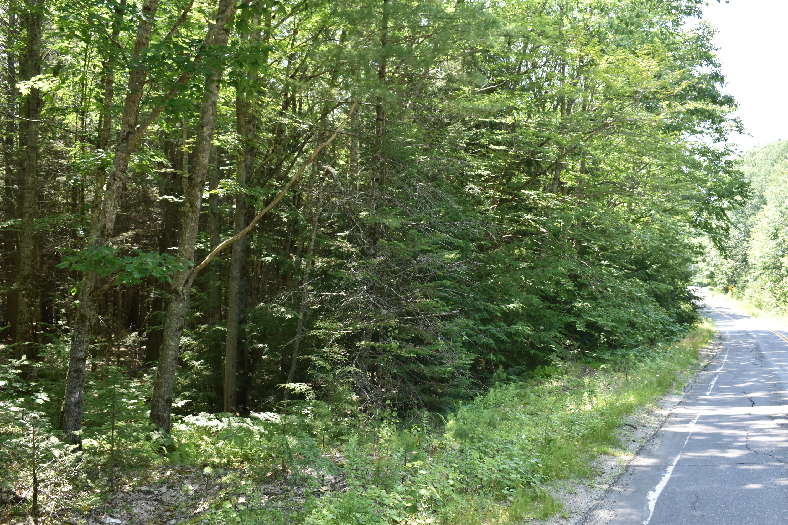 0 Mc Kay Road Edgecomb, ME 04556 - Photo 5 of 5 DSC_0249