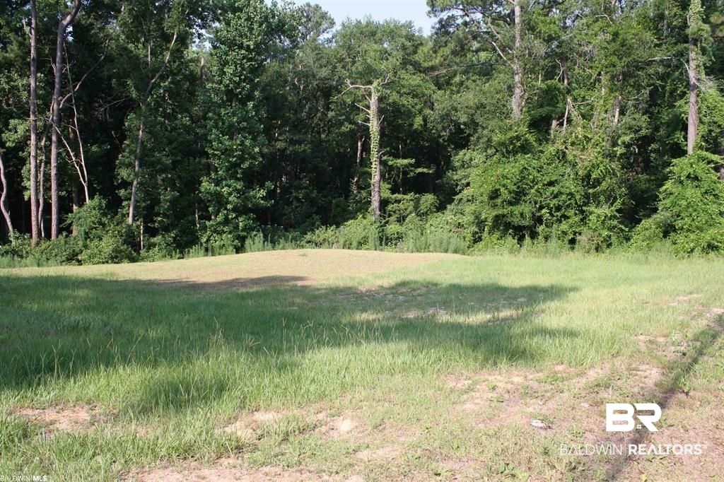 0 Whispering Pines Road Daphne, AL 36526 - Photo 2 of 2