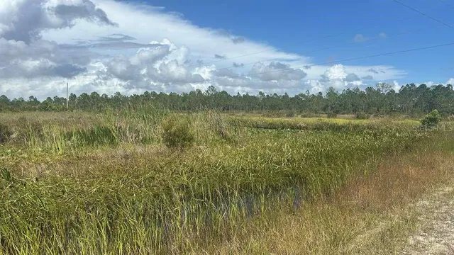 a view of a lake with a yard