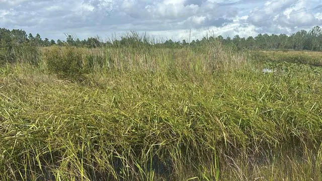 $29,700 | 16057 Northwest 308th Street, Okeechobee, FL 34972